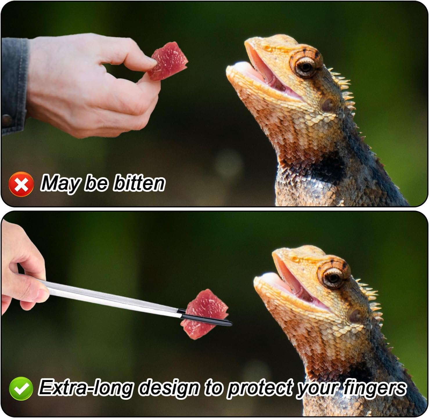 3Pcs Reptile Feeding Tongs, Reptile Feeding Tweezers with Rubber Tip Straight Clip Curved Clip Spoon Long Aquarium Tweezer for Terrarium Lizard Spider Snake Tank Accessories for Reptile Lovers image number 6