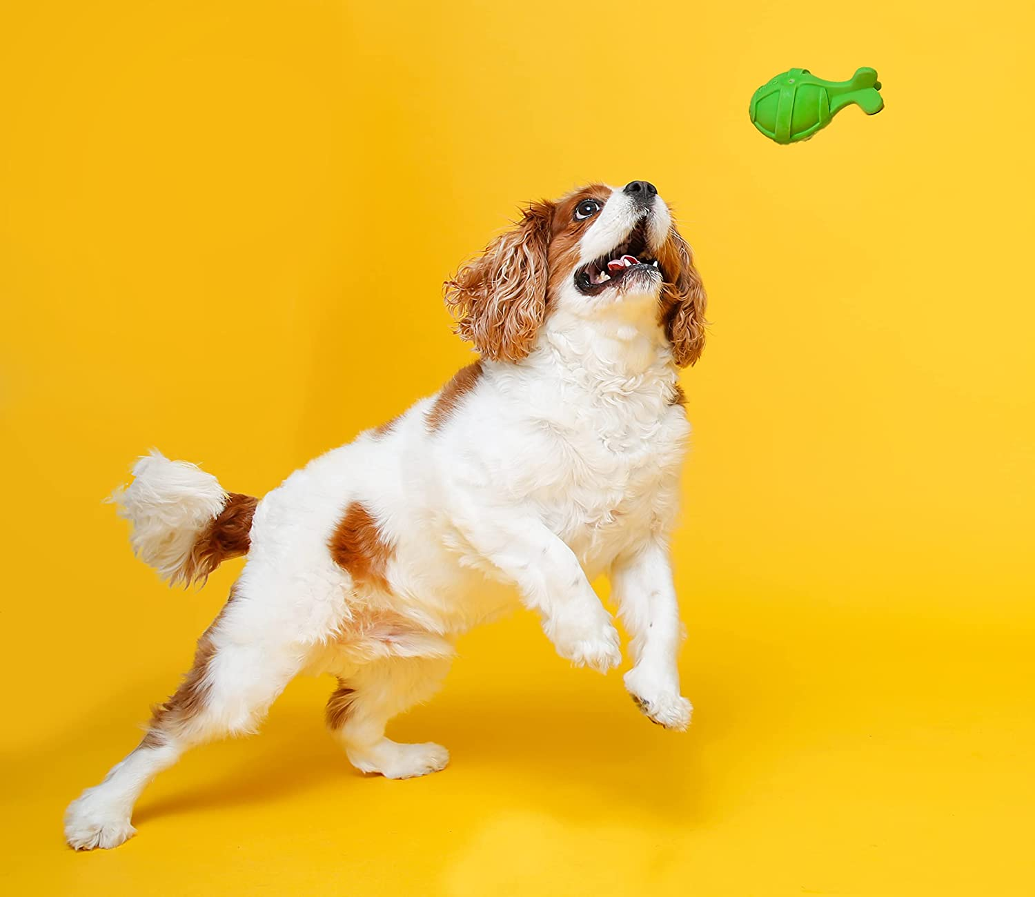 Hartz Duraplay Rocket - Medium image number 1