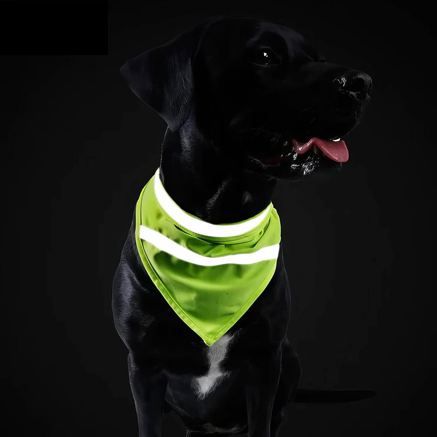 House of Paws Hi-Vis Reflective Dog Bandana - Adjustable Safety Neckwear for High Visibility & Night Walks - Yellow