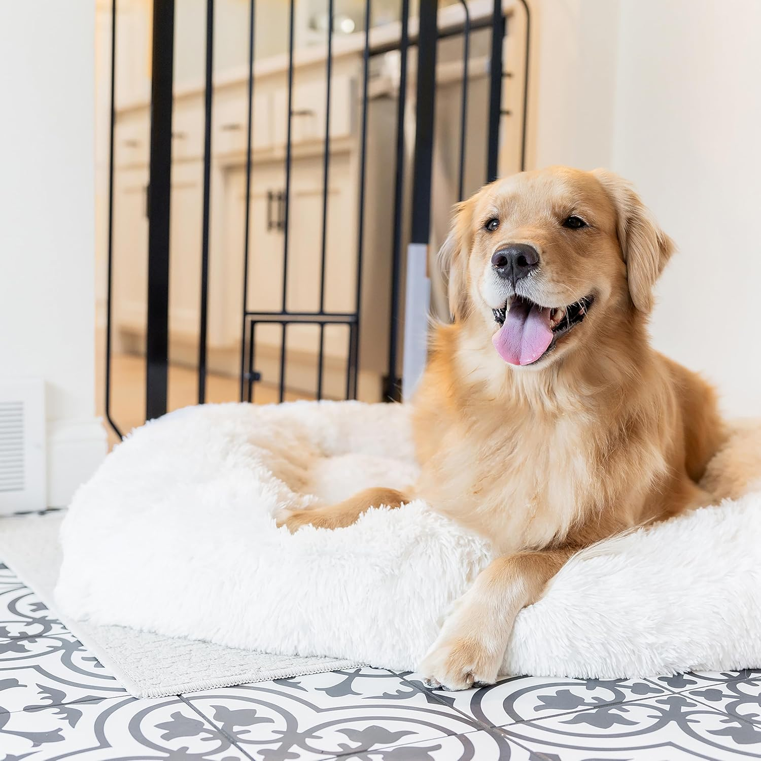 Carlson Extra Tall Walk through Pet Gate with Small Pet Door, for Openings 29"-39" Wide,Includes 4-Inch Extension Kit, 4 Pack Pressure Mount Kit and 4 Pack Wall Mount Kit, Black