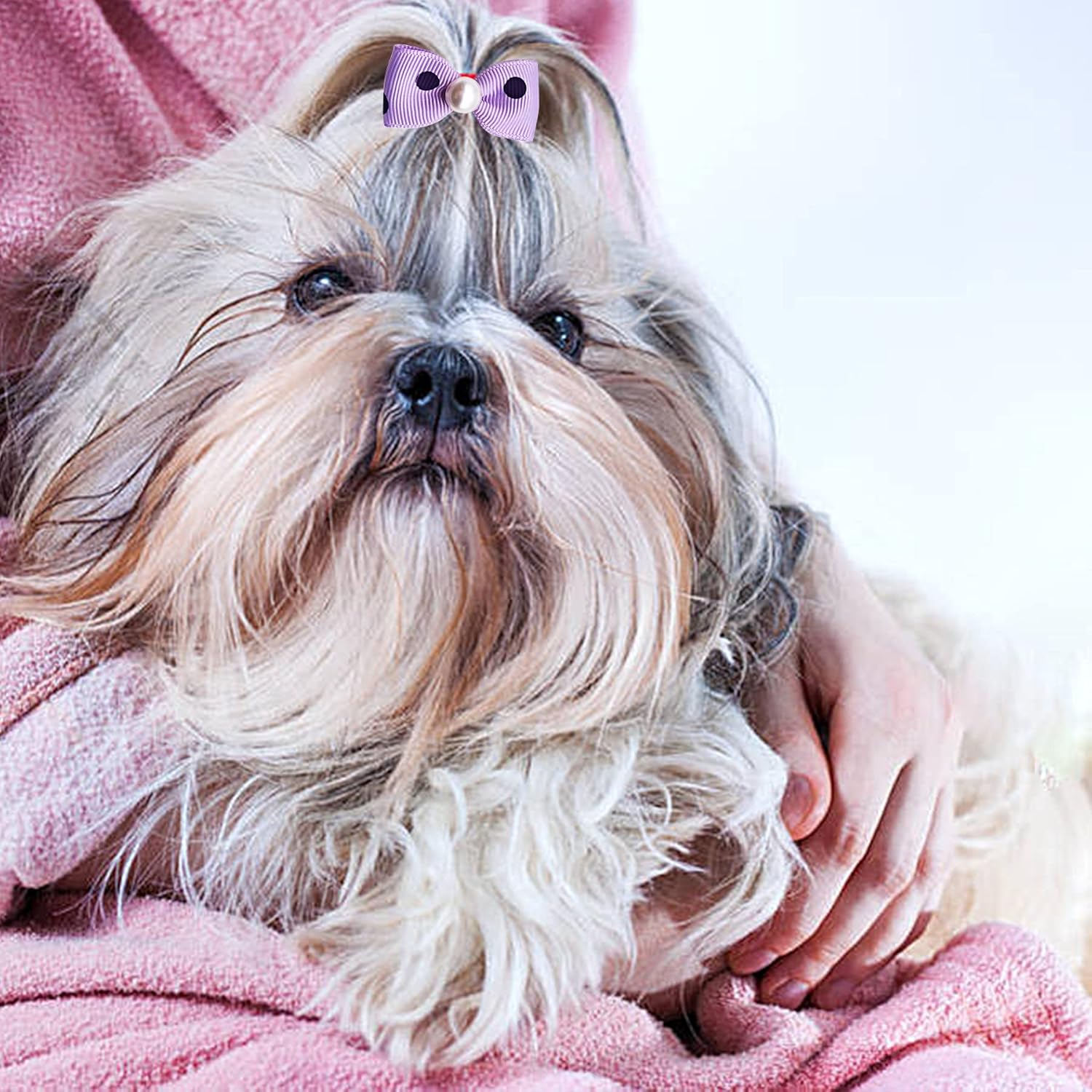 30PCS/15PAIRS Purple Dog Hair Bows with Rubber Bands Puppy Hair Bowknot Top Knot Elastic for Girl Female Doggy Cat Rabbit Poodle Pet Animal Grooming Accessories Attachment&hellip; image number 4