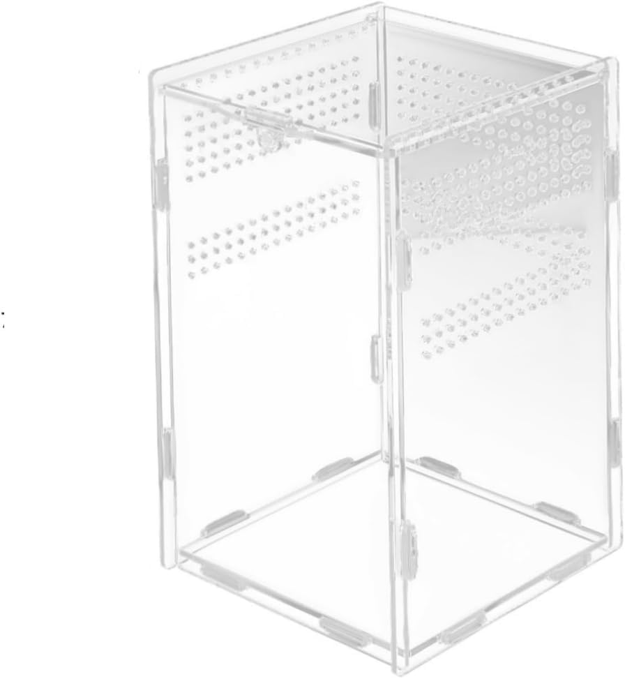 Reptile Terrarium Stick Insect Enclosure Breeding Box 12X12X20 Size Acrylic Material Feeding Case image number 3