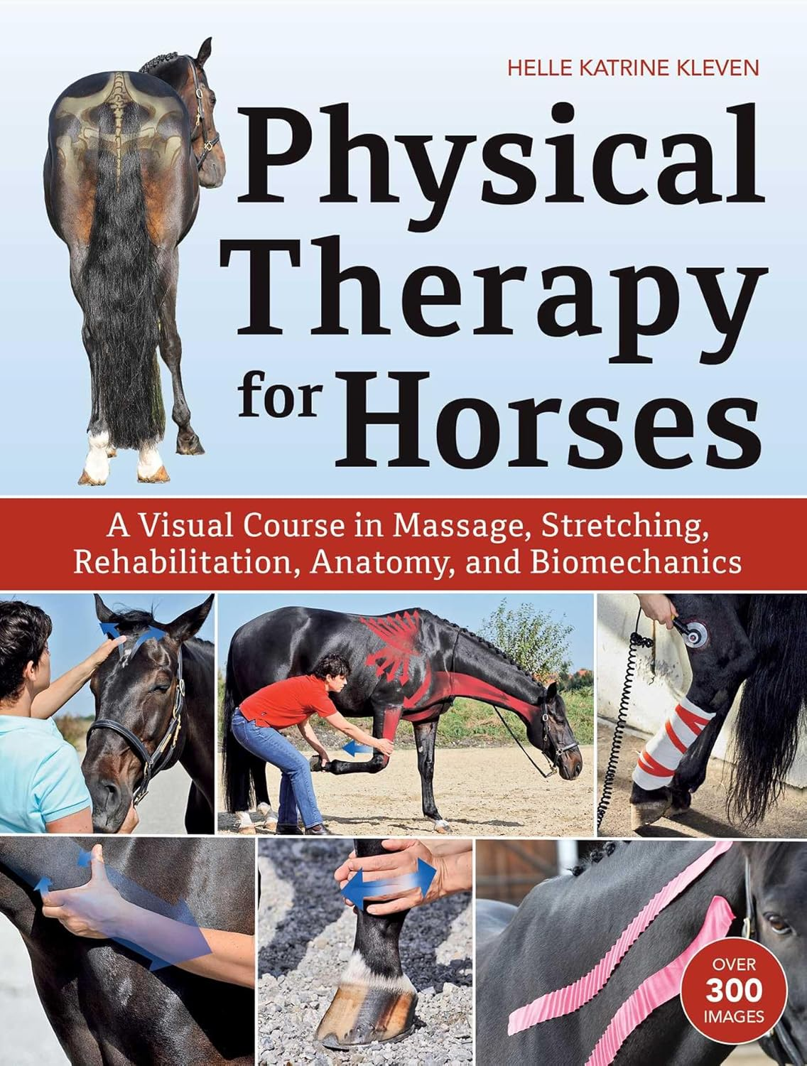 Physical Therapy for Horses: a Visual Course in Massage, Stretching, Rehabilitation, Anatomy, and Biomechanics