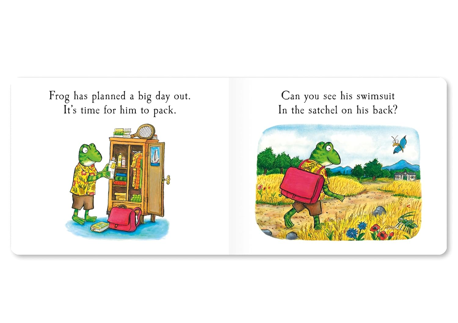 Frog'S Day Out: a Lift-The-Flap Story image number 2