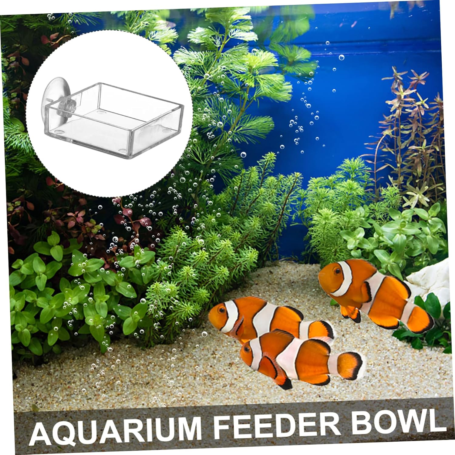 BESPORTBLE 4Pcs Fish Feeder Bowl with Cup Height Feeding Tool for Shrimp and Fish Tanks Easy to Clean and Install Convenient Feeding image number 5