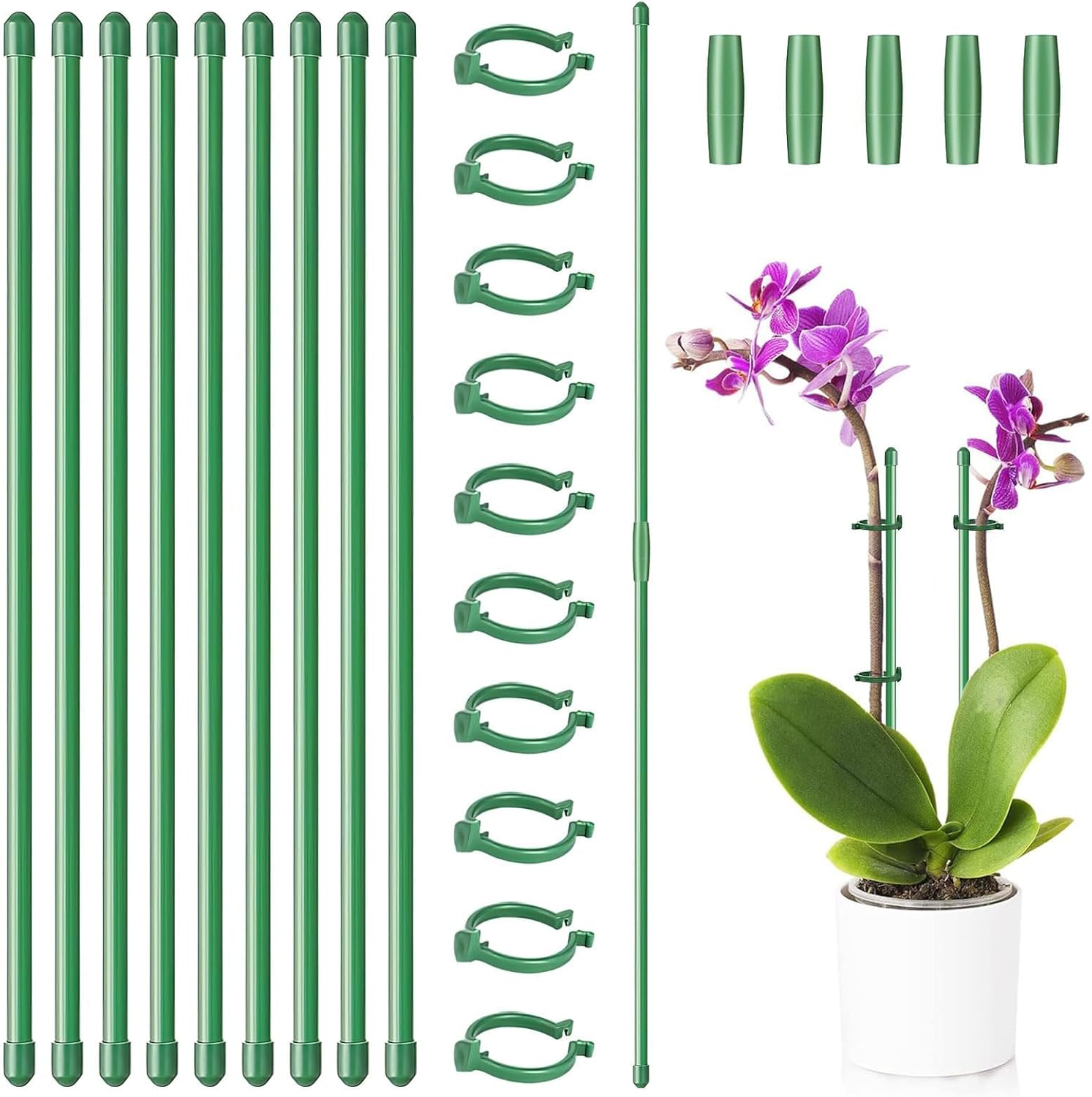 Plant Support Stakes, 10 Pcs 12Inch Adjustable Plant Support Sticks with Rings and Connectors, Garden Single Stem Plant Stake for Potted, Tomato, Rose, Vegetable image number 6