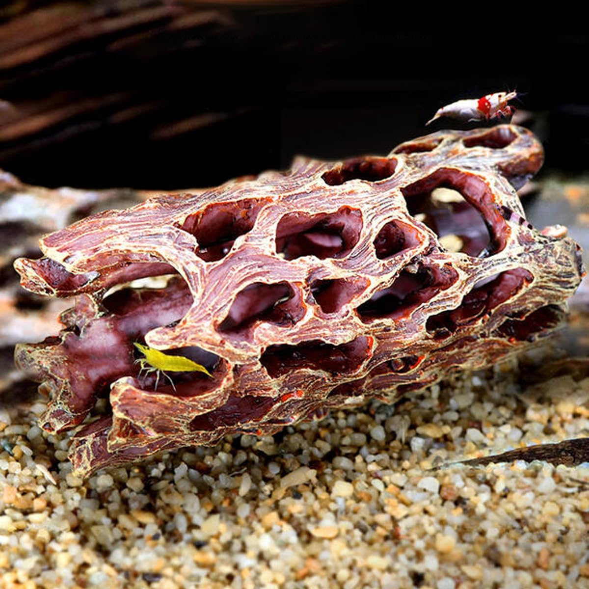 AIMALL Creative Shrimp House Decoration, Resin DIY Climbing Pet Decoration, Aquarium Landscape Castle, Fish and Shrimp Escape House, 4.13In and 6.10In - Large image number 6