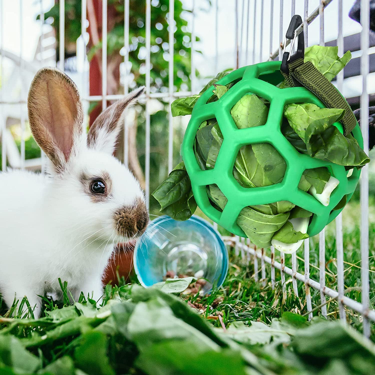 Rabbit Guinea Pig Hanging Hay Feeder Ball Small Animal Feeder Rack Dispenser Food Balls Toy Pet Grass Play Hay Chew Ball Grass Vegetable Hanging Holder for Small Animals Pet Hamster Bunny Rabbit image number 5