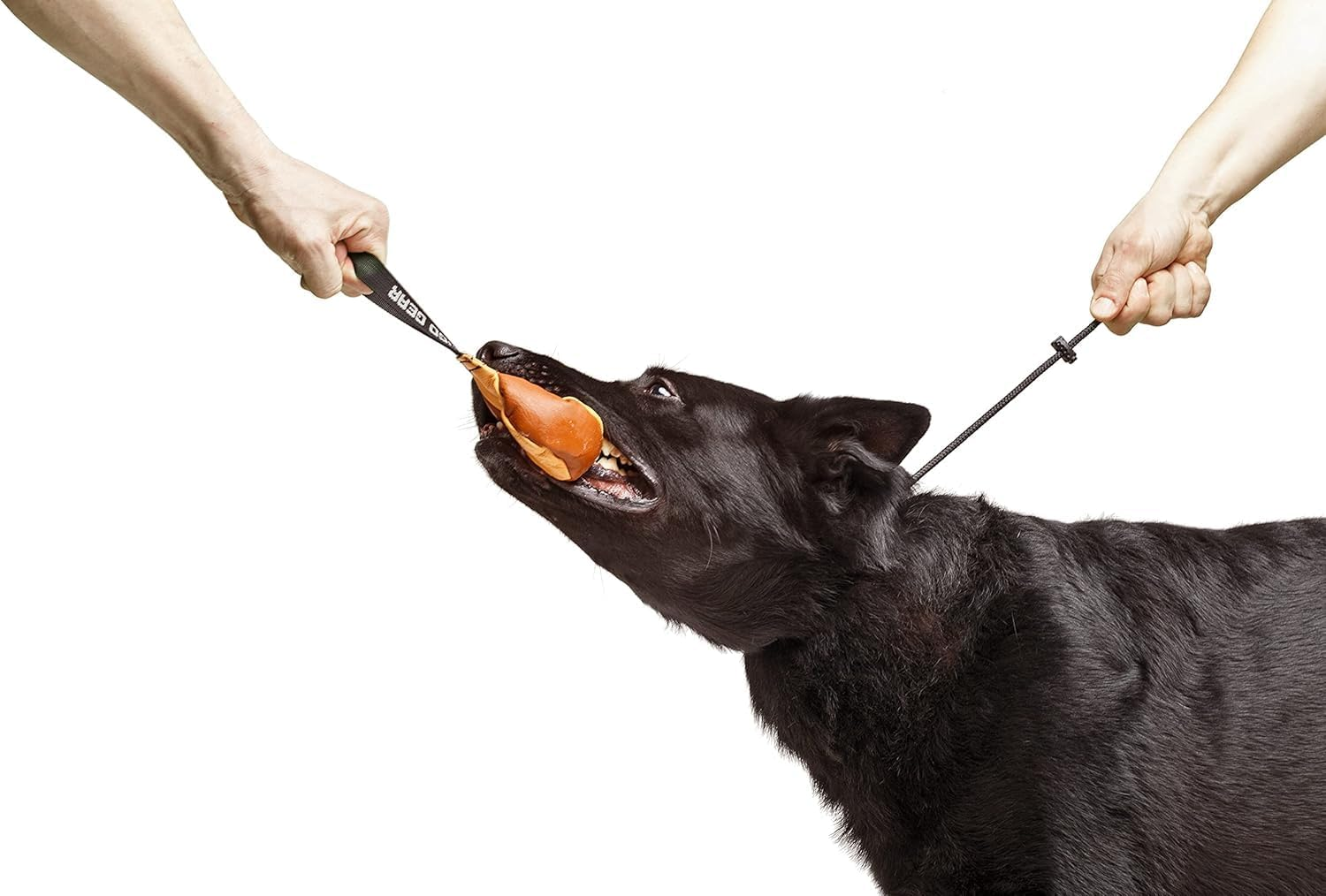 Dog Training Nylon Traction Rope, Non Slip Collar Type, Heavy-Duty anti Pull Traction Rope, Suitable for Medium and Large Dogs (Black, M) image number 5