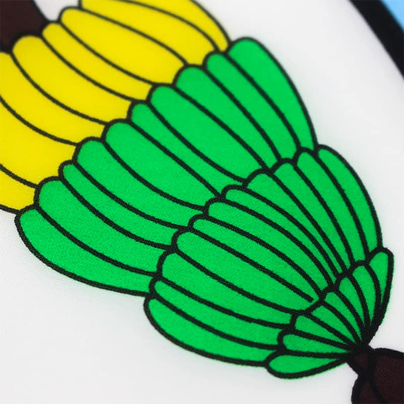 AIMALL Large Fiji Fijian Flag with Brass Grommets Pacific Island Heavy Duty Outdoor 90 X 150 CM - 3Ft X 5Ft image number 3