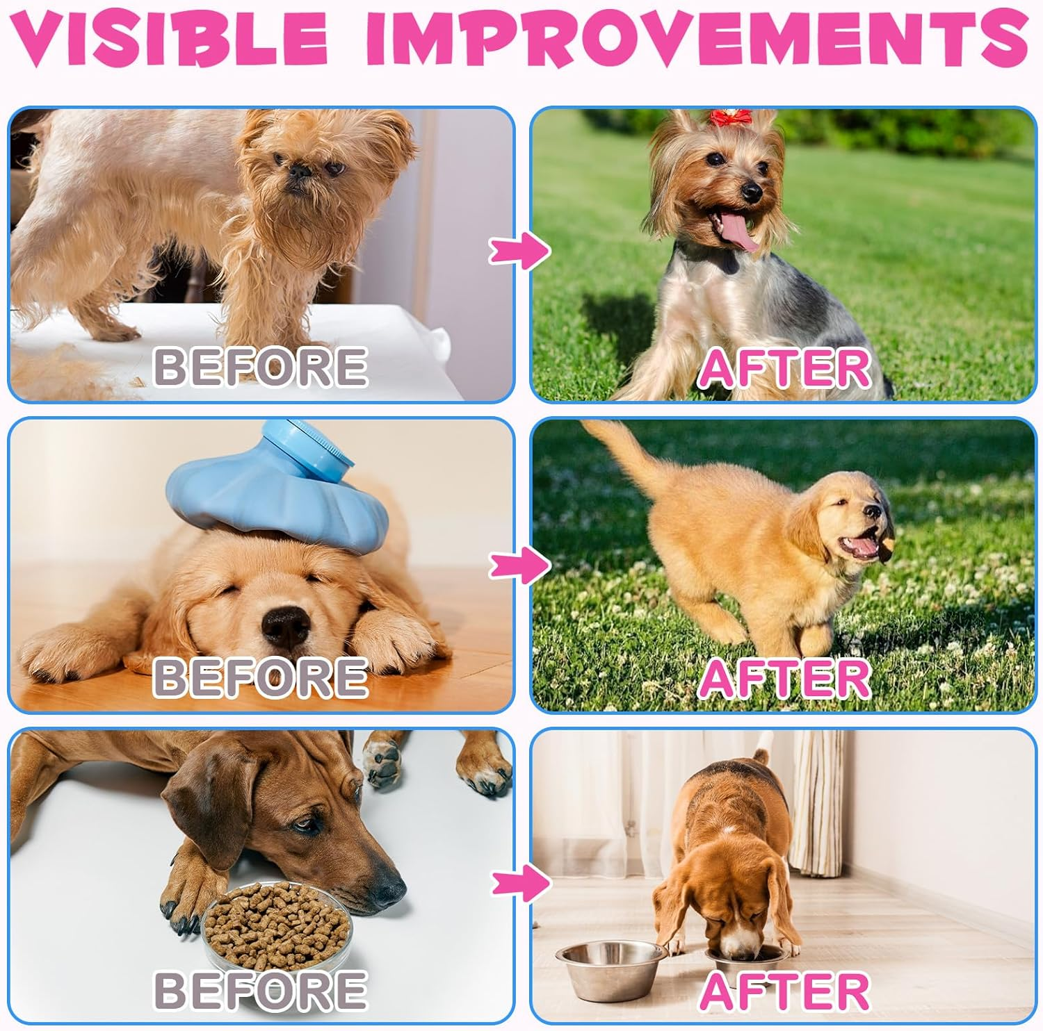 Liquid Collagen for Dogs image number 3