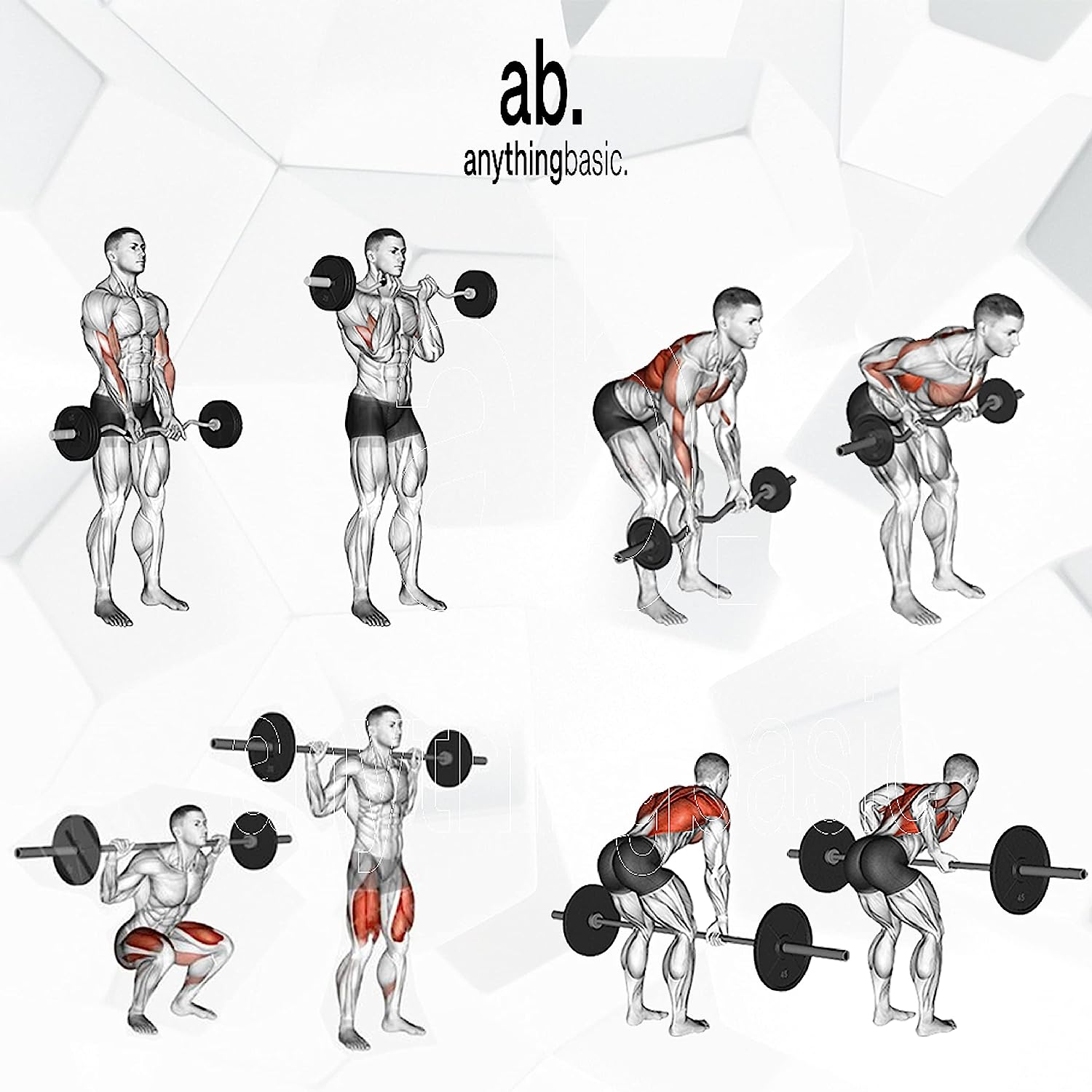 Anythingbasic Adjustable PVC Dumbbell Set of 8Kg (17.6LB) Includes 4 Plates * 2Kg (4.4LB), 14'' Dumbbell Rod Pair & Nuts | Black | Material : Polyvinyl Chloride | Fitness Kit for Men and Women