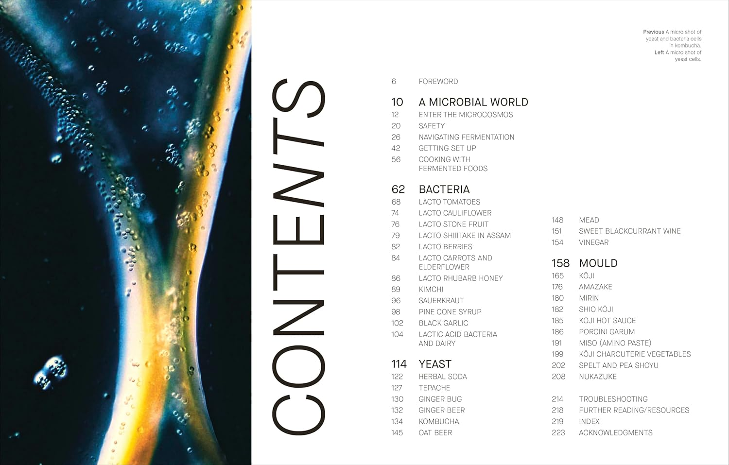 The Fermentation Kitchen: Recipes and Techniques for Kimchi, Kombucha, Koji and More image number 1