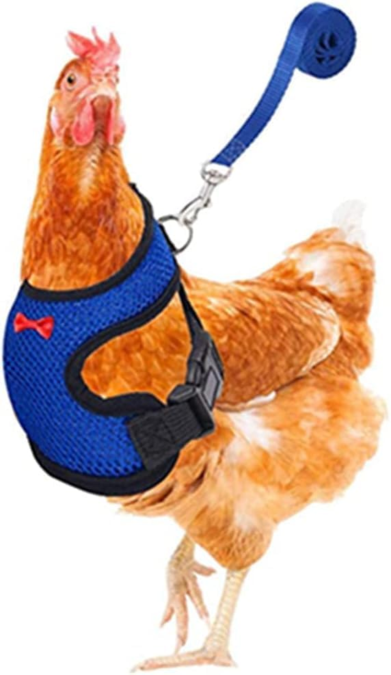 4Pcs Chicken Harness and Leash Set with Adjustable Upgrade and Improvement Breathable Comfortable Chicken, Duck, Goose as Gifts for Festival (Yellow&Red&Green&Blue, S) image number 4