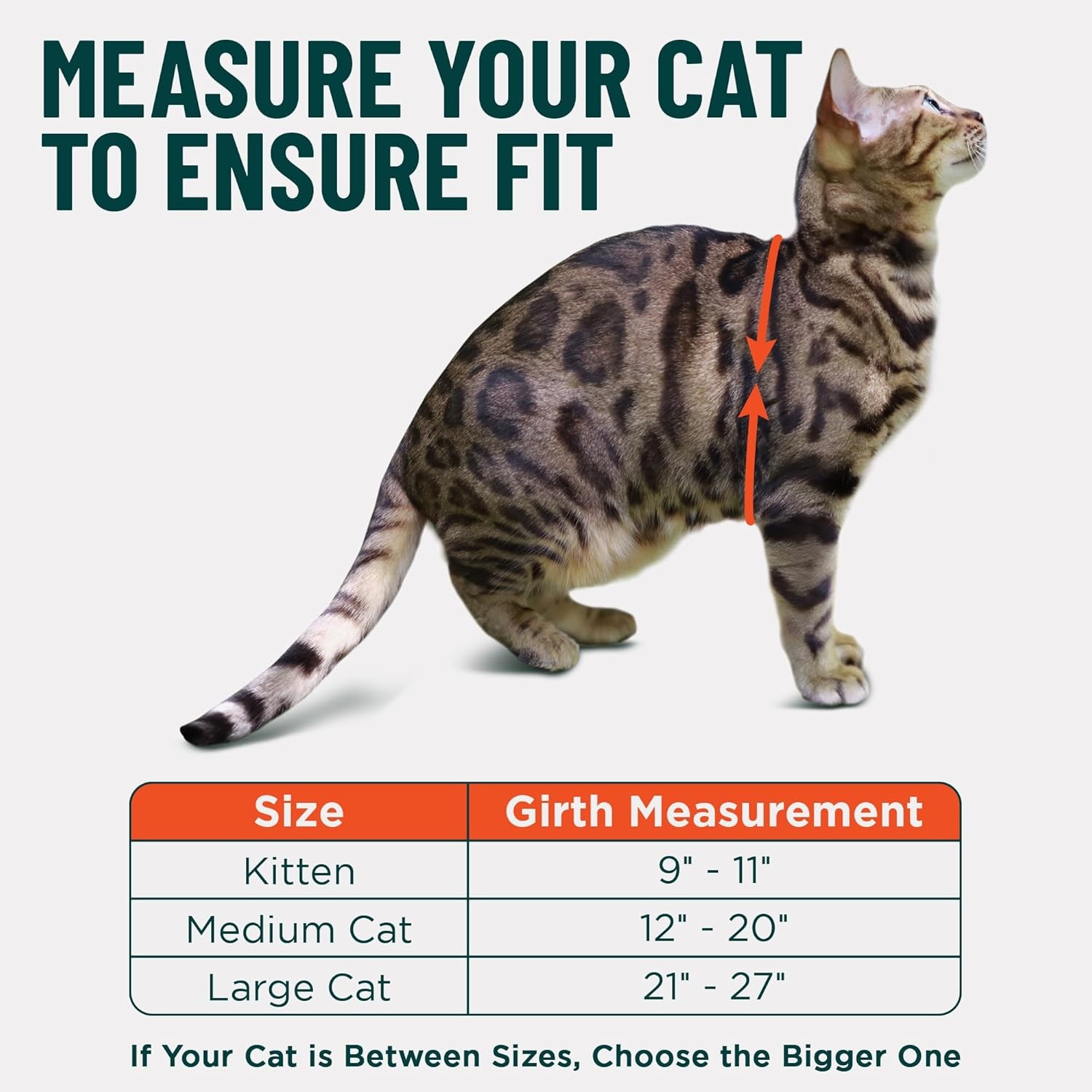 Houdini&trade; Large Cat Harness and Leash Set (Escape Resistant) by Outdoorbengal for Walking Big Cats (L) image number 6