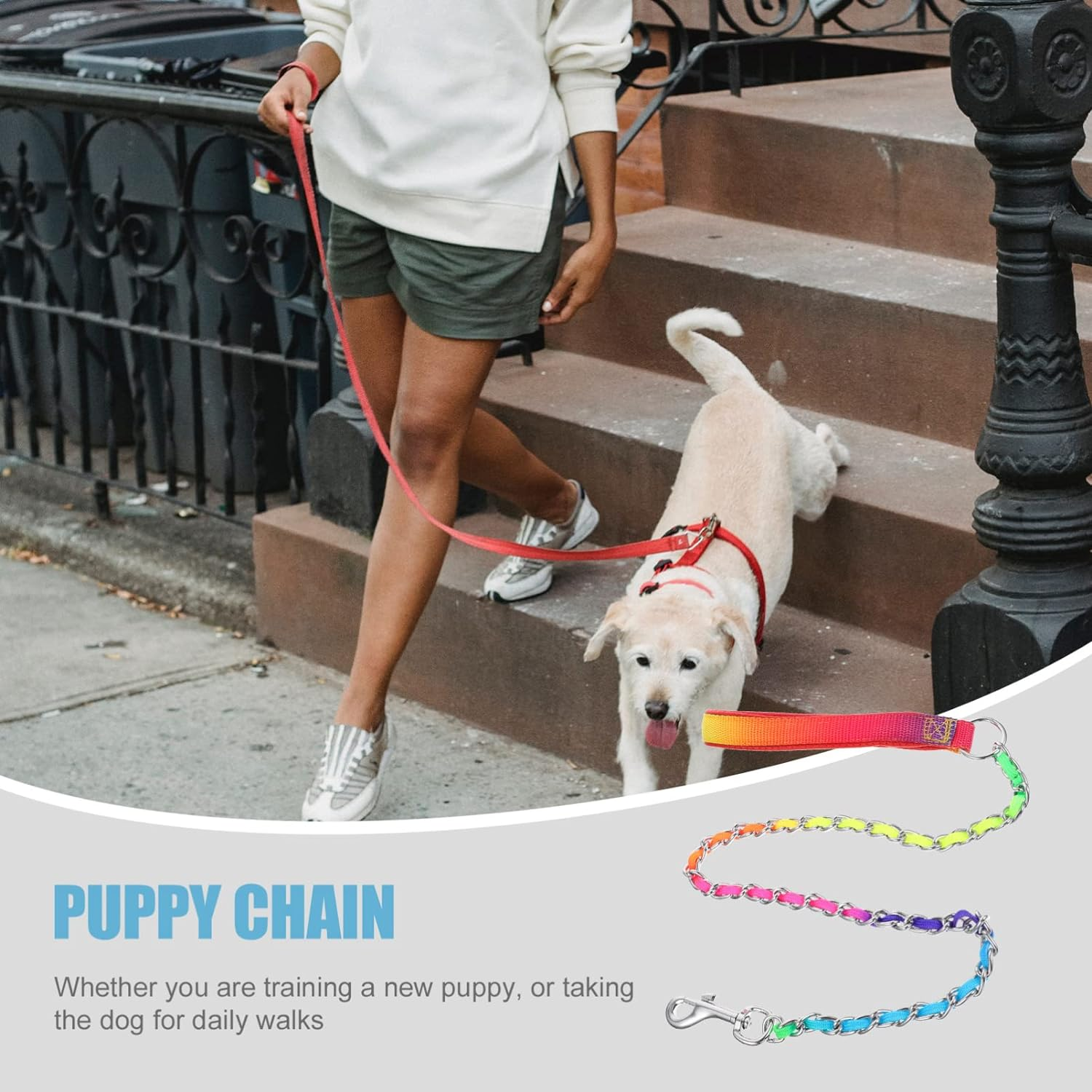 Wear Resistant Dog Chain Leash Heavy Duty Puppy Leash Padded Handle Chew Proof Pet Accessory Training Walking