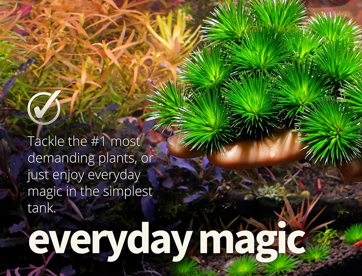 The 2HR Aquarist APT E/Estimative Index in a Bottle for Planted Aquariums (500Ml) image number 2