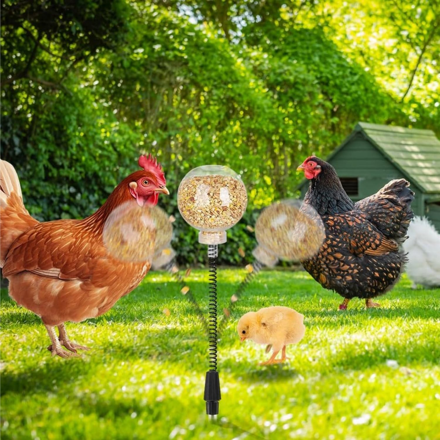 2-Pack Chicken Pecking Slow Feeder Balls &ndash; Durable Enrichment Toys for Hens, Ducks & Poultry (Metal/Pet) image number 5