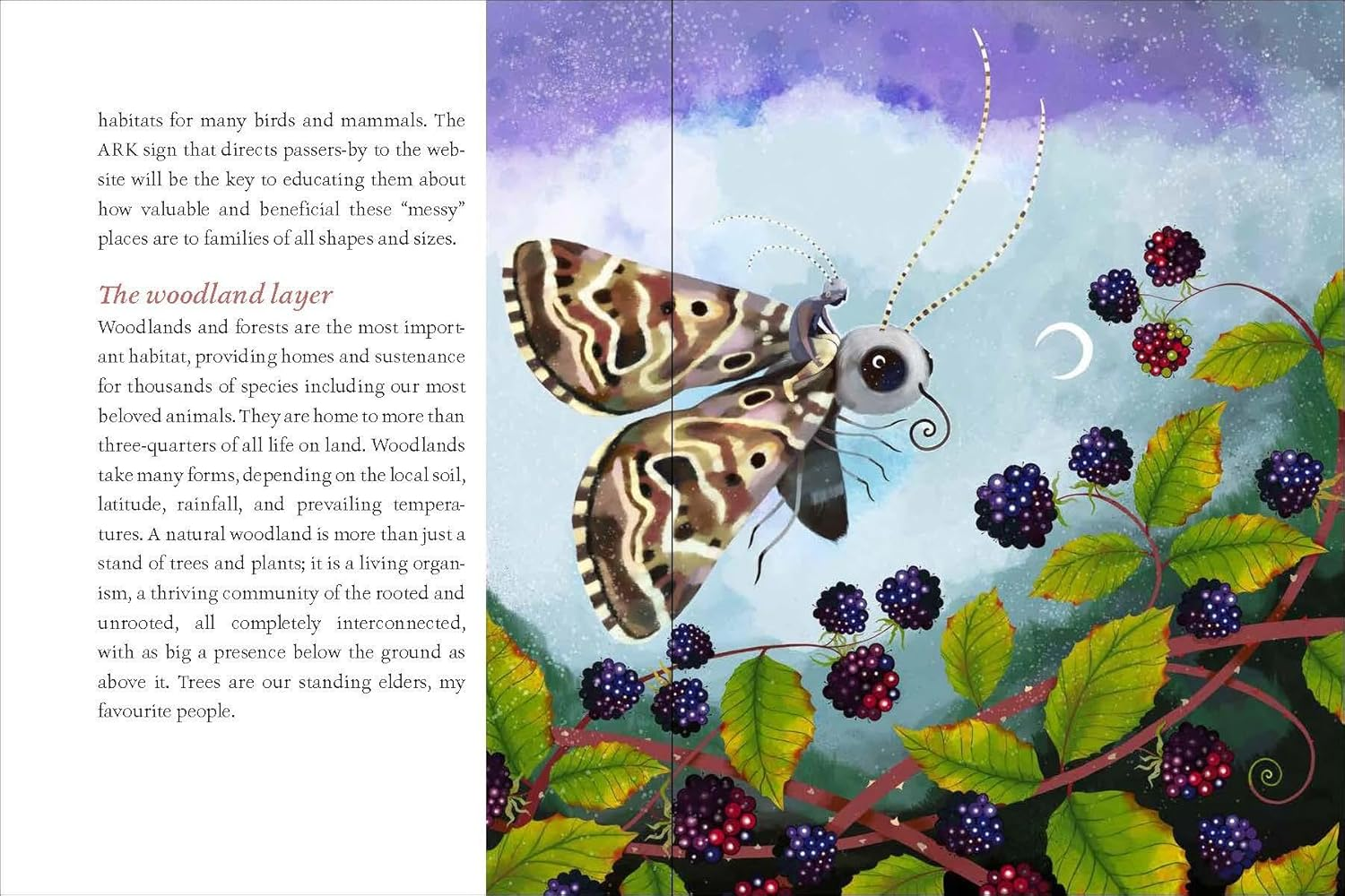 We Are the ARK: Returning Our Gardens to Their True Nature through Acts of Restorative Kindness image number 5