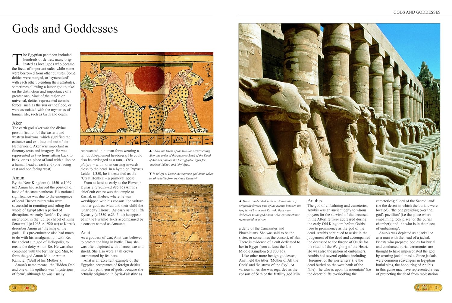 Ancient Egypt: an Illustrated History image number 6