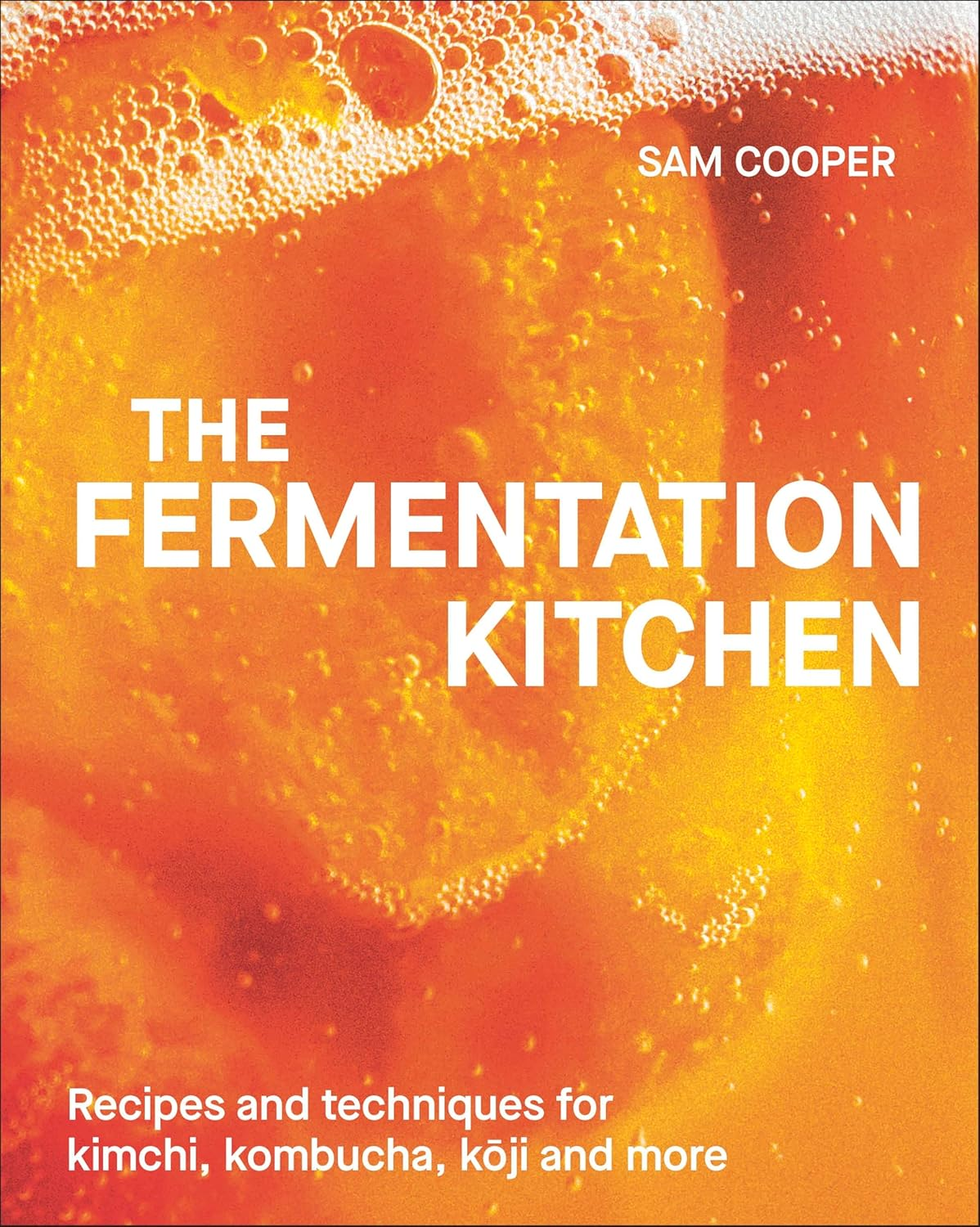 The Fermentation Kitchen: Recipes and Techniques for Kimchi, Kombucha, Koji and More image number 3