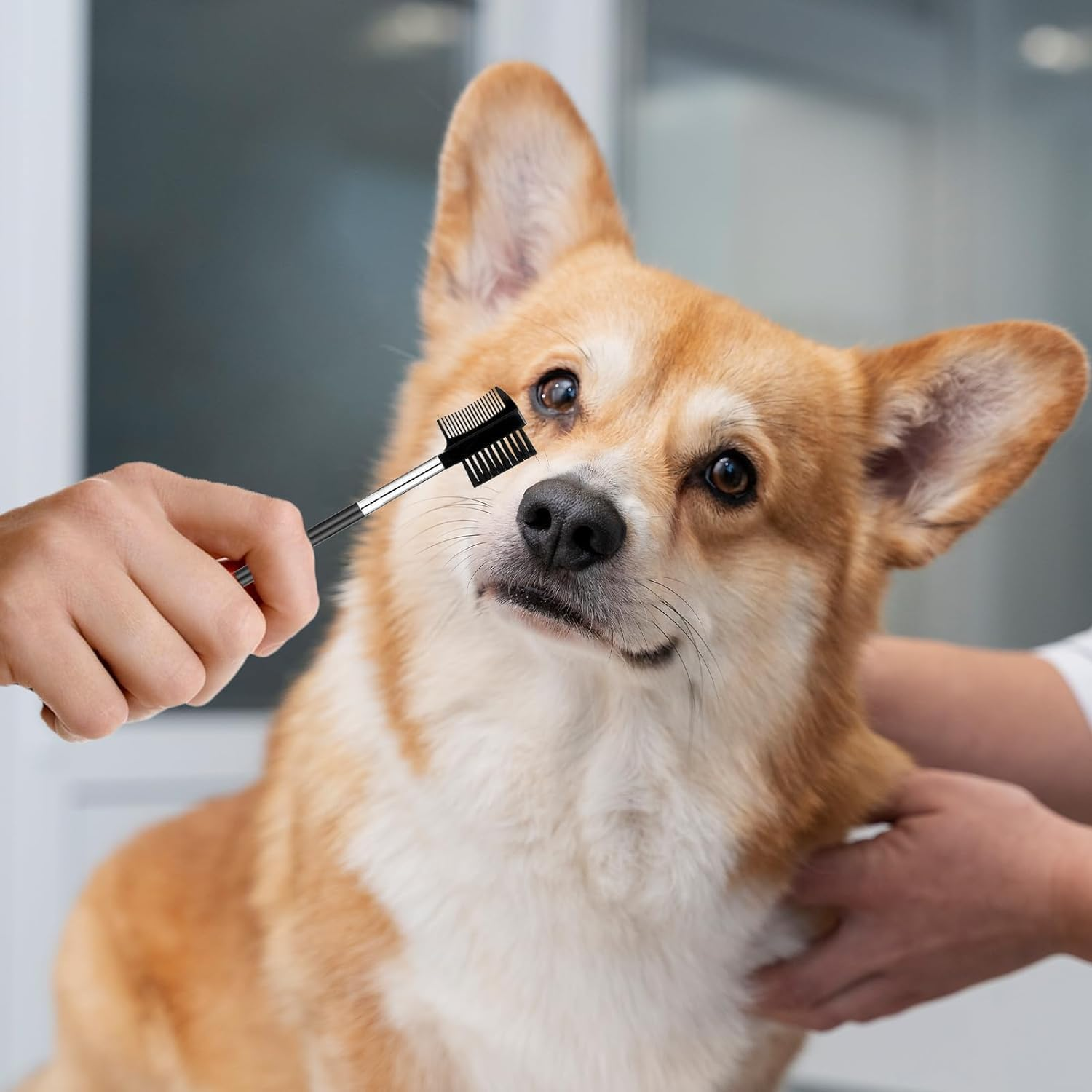 4Pcs Pet Tear Stain Remover Combs, Double-Head Dog Tear Comb Dog Eye Brush Dog Eye Cleaning Comb Brush Dog Facial Grooming Comb for Small Pet image number 5