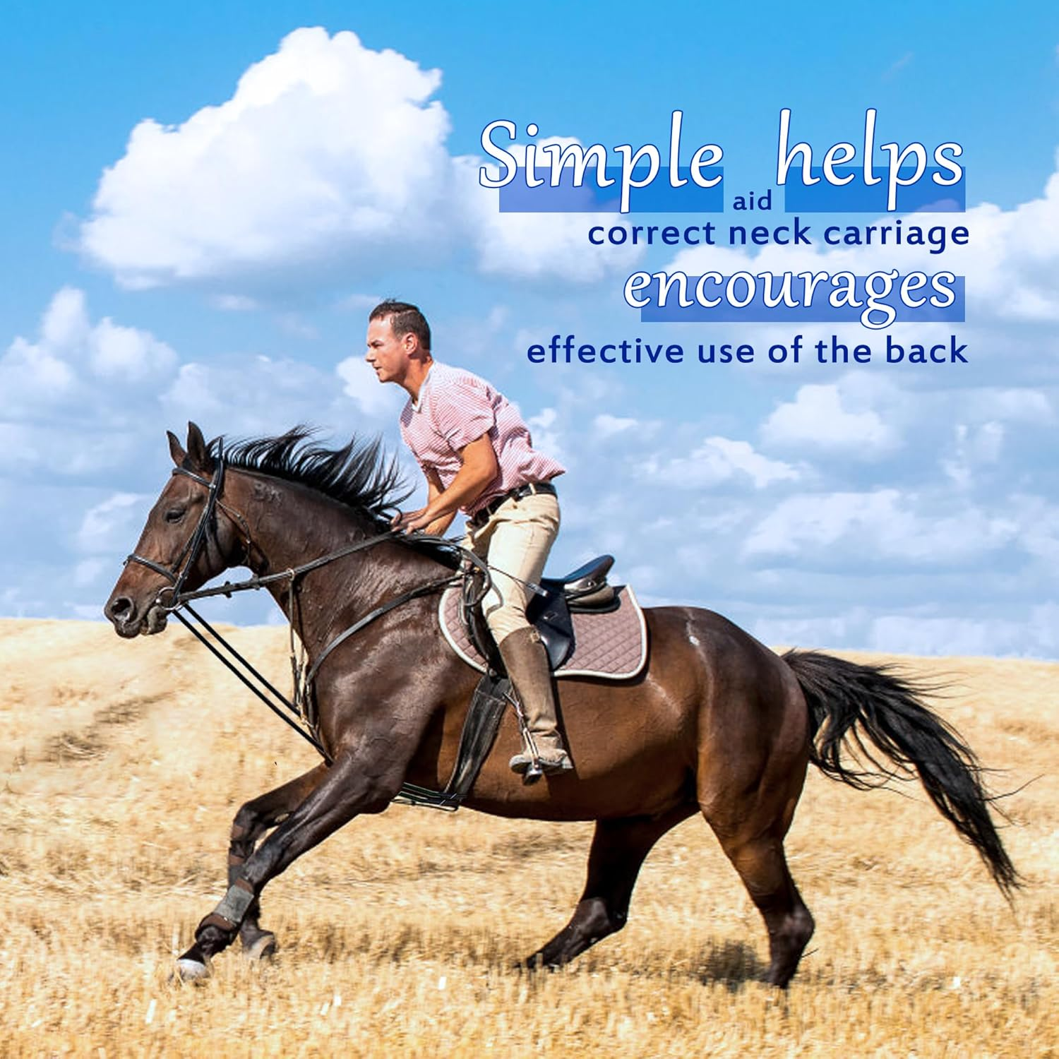 Extra Long 13Ft Horse Rein Elastic Neck Stretcher Adjustable Rope Bungees for Horse Training Aid Alternative to Side Reins 4 Meters image number 6