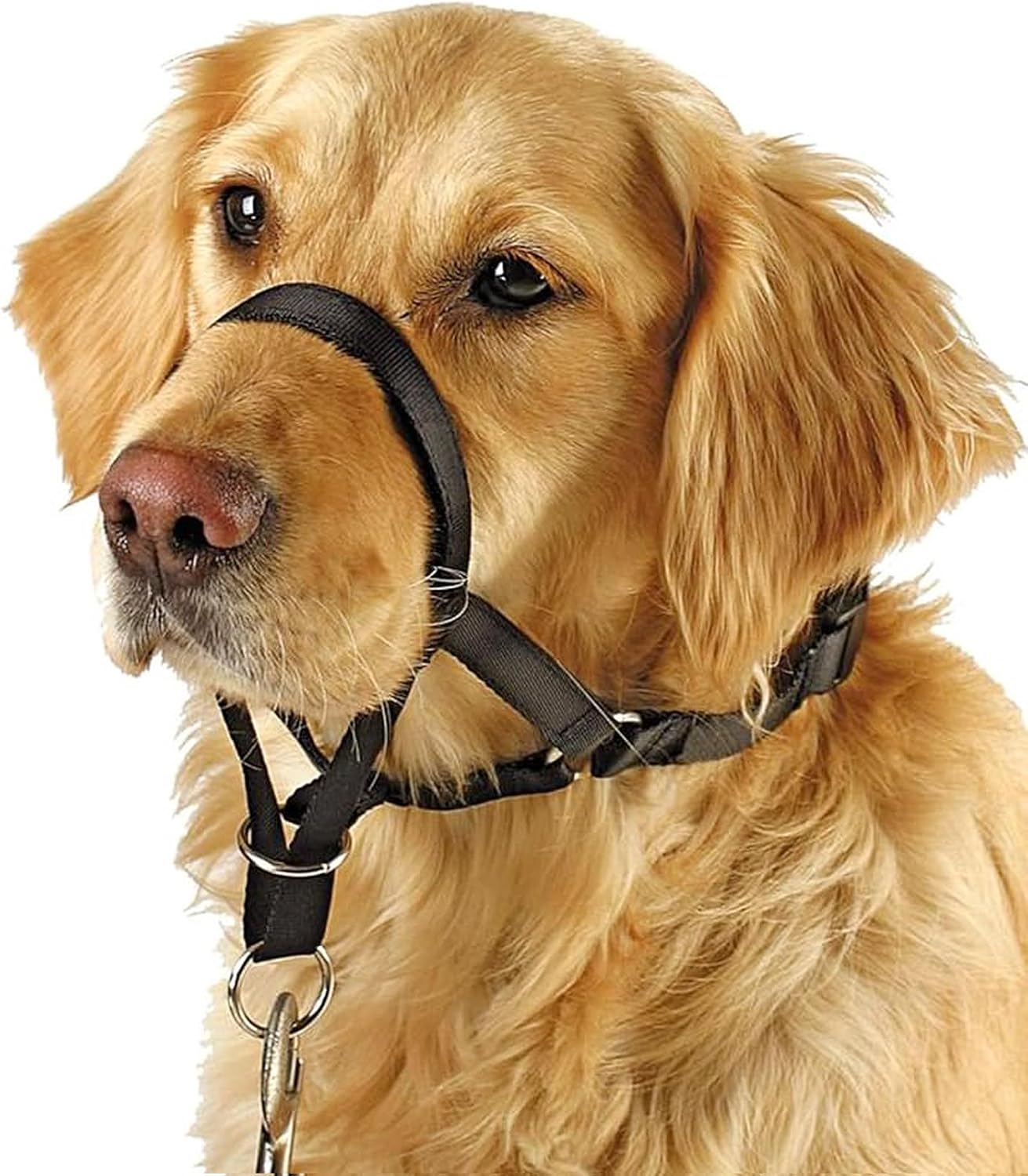 BARKLESS Soft Dog Head Collar, No Pull Training Tool for Small Dogs on Walks, Gentle Halter for Heavy Pullers, Includes a Training Guide