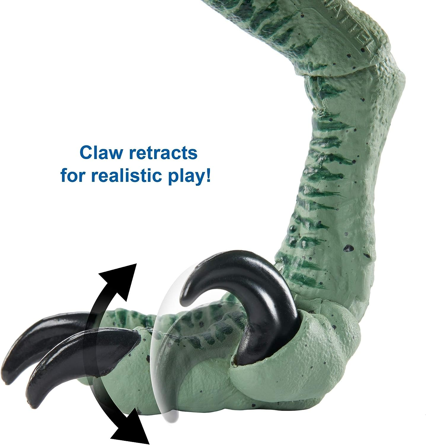 Jurassic World Amber Collection Velociraptor Delta 6-In Collectible Dinosaur Action Figure with Movie-Authentic Detail, Movable Joints & Figure Display Stand; for Ages 8 Years & Up image number 4