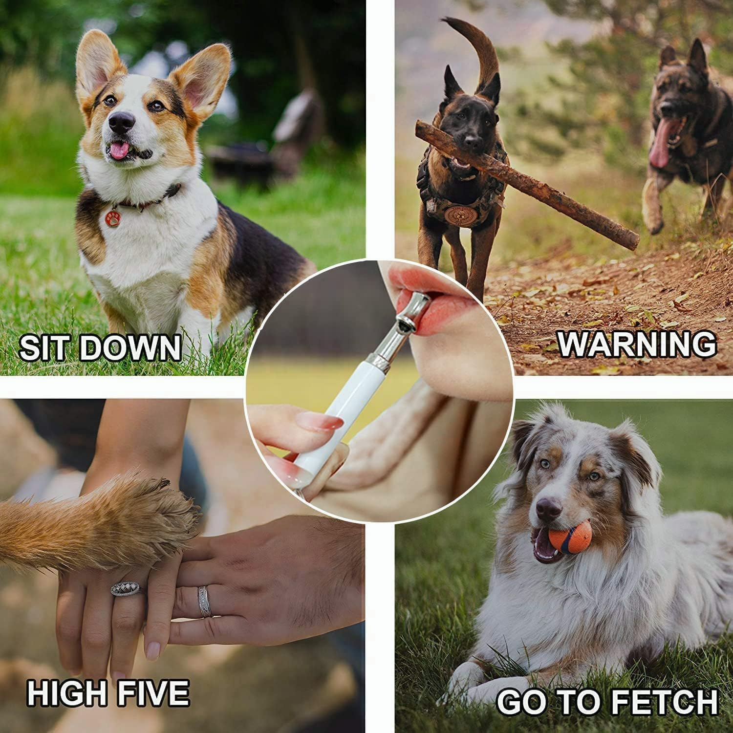 Dog Whistle, 2 Pack Adjustable Ultrasonic Dog Whistle to Stop Barking Neighbors Dog, Recall Training, Professional Ultrasonic Silent Dog Whistle Training to Stop Barking Control Devices (Black) image number 4