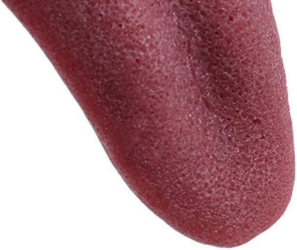 2Pcs Realistic Fake Tongue Gross Jokes Prank Magic Tricks Fashion Processing Halloween Magicians Props Tricks Tongue Toys