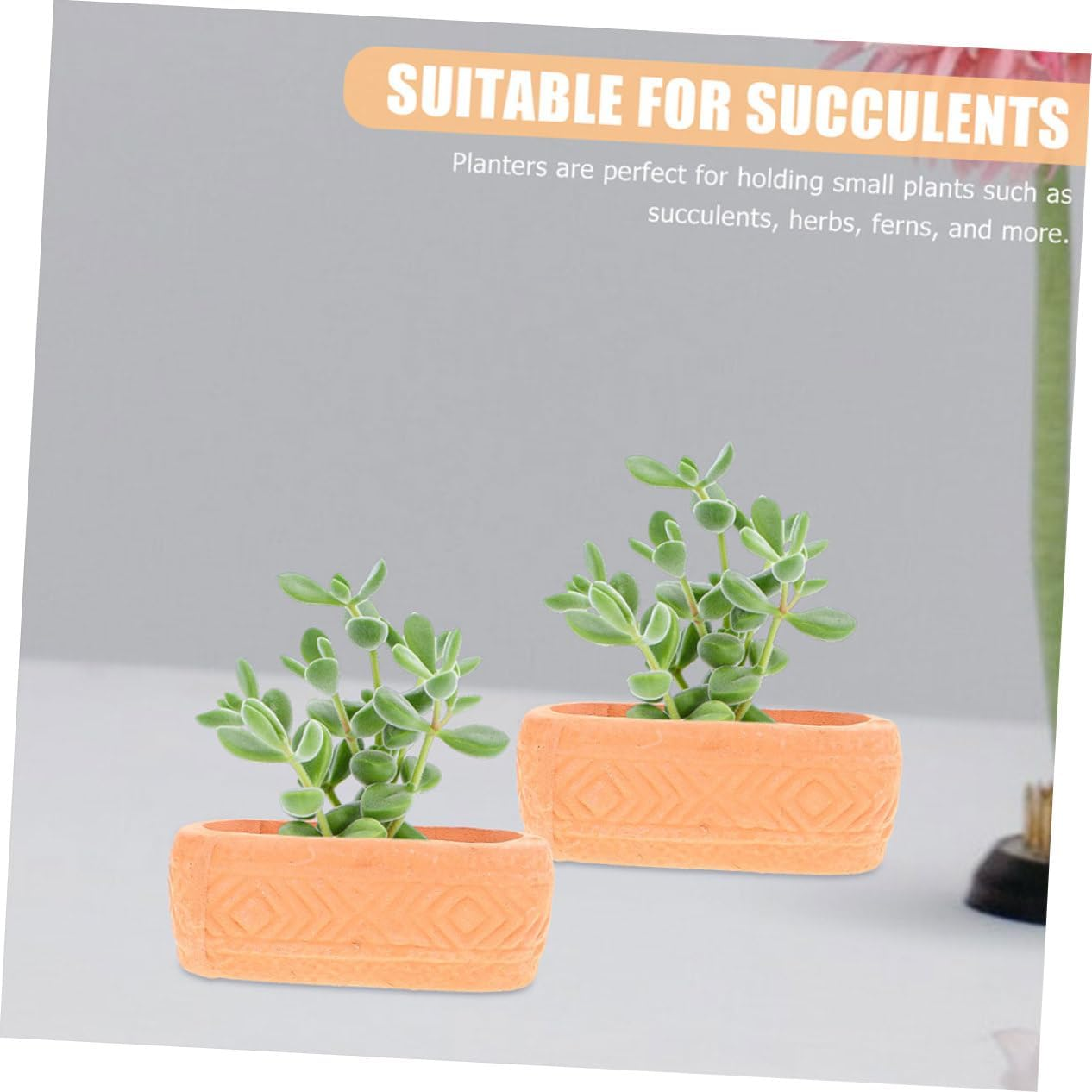 Mini Red Clay Ceramic Planter Pot with Drainage for Indoor Succulent Plants Nursery Grow Pot for Home Garden for Patio and Balcony Planting image number 1