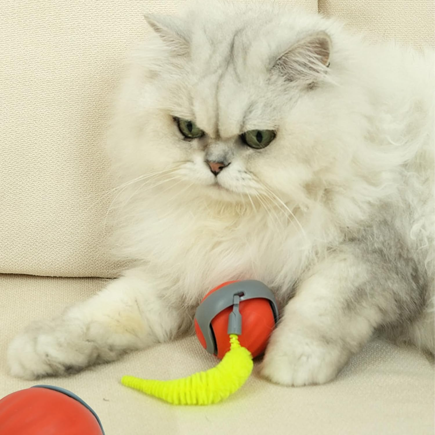 Interactive Cat Ball Toy Self Rolling Ball USB Rechargeable Smart Cat Toys Ball 360&deg;Automatic Rolling Ball Toy with Tail Speedy Tail Cat Toy for Indoor Cats SH0090 (Orange) image number 6