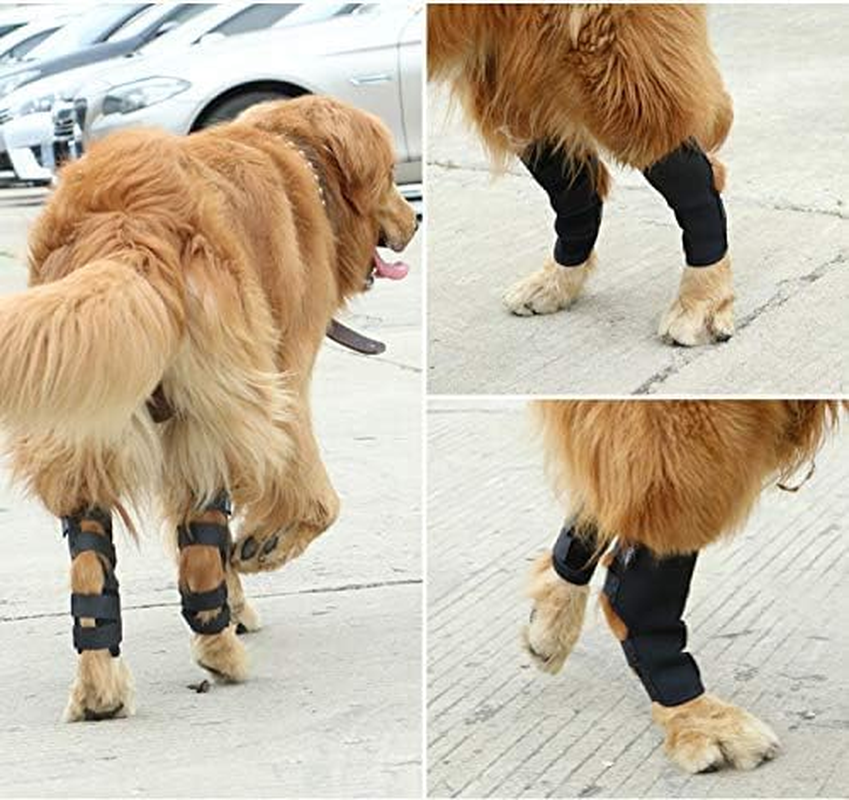 Dog Knee Brace Leg Braces - Dog Canine Knee Stifle Brace Wrap Dog Knee Brace for Torn ACL Hind Leg Joint Pain Muscle Sore Pet Brace (Black, L) image number 3