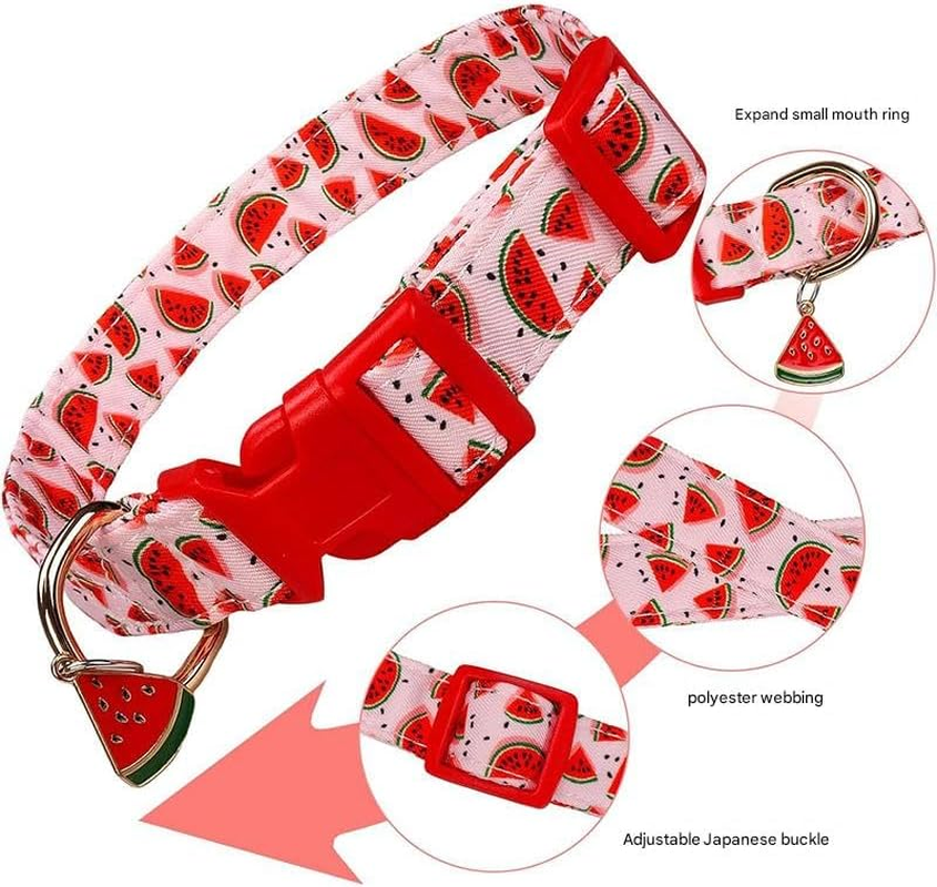 Dog Collars with Buckle Adjustable for Cute Female Boy Dogs,Special Soft and Fancy Dog Pet Collar with Flower Design for Small Medium Large Dogs (Red, M Width 2.0 Adjustable 31-50Cm) image number 3