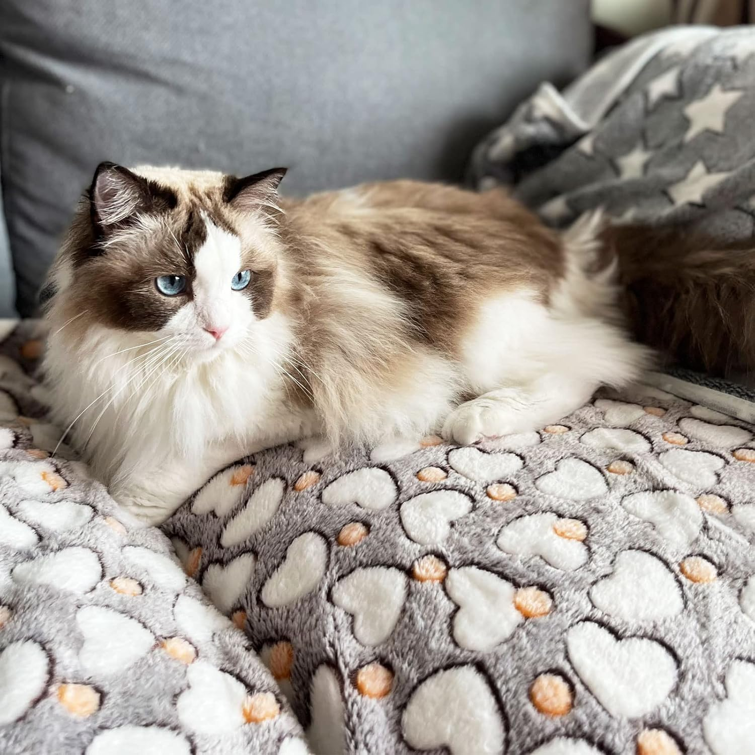 1 Pack 3 Puppy Blankets Super Soft Warm Sleep Mat Grey Cute Print Blanket Fluffy Fleece Pet Blanket Flannel Throw Dog Blankets for Small Dogs Puppy Dogs Fluffy Cats,Love-Large(40"X30") image number 5