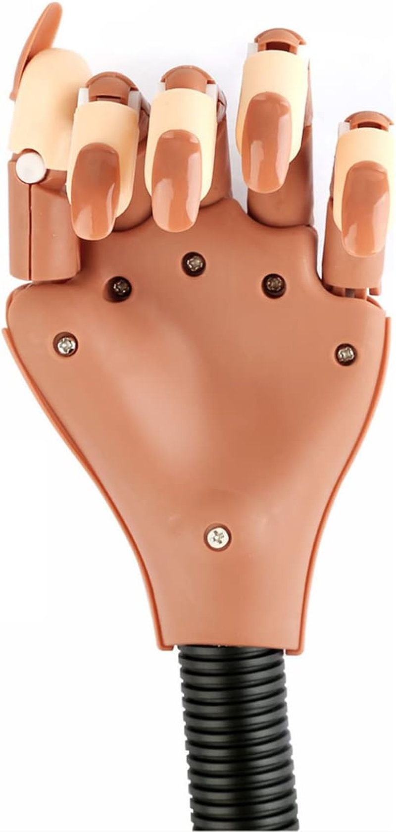 Nail Design Practice Hands, Finger Training, Flexible and Adjustable Hand Training, with 400 Fake Nails image number 5