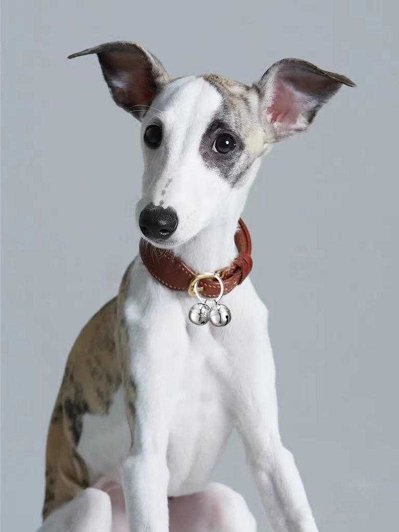 ROHOME Cat Dog Collar with Pet Tracker - Handmade Pure Copper Pendant Bell - Loud Anti-Lost Training Bell for Collar - save Birds & Wildlife image number 5