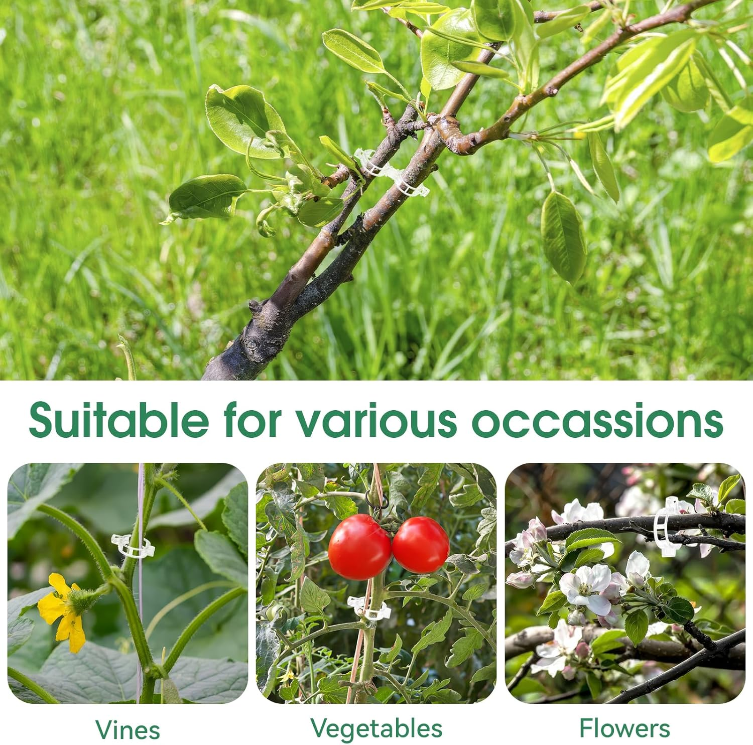 150 Pcs Plastic Trellis Plant Support Clips Plant Fixing Clips for Climbing Plants, Garden Clips for Support, Grape and Tomato Vine, Vegetables Plants(White) image number 3