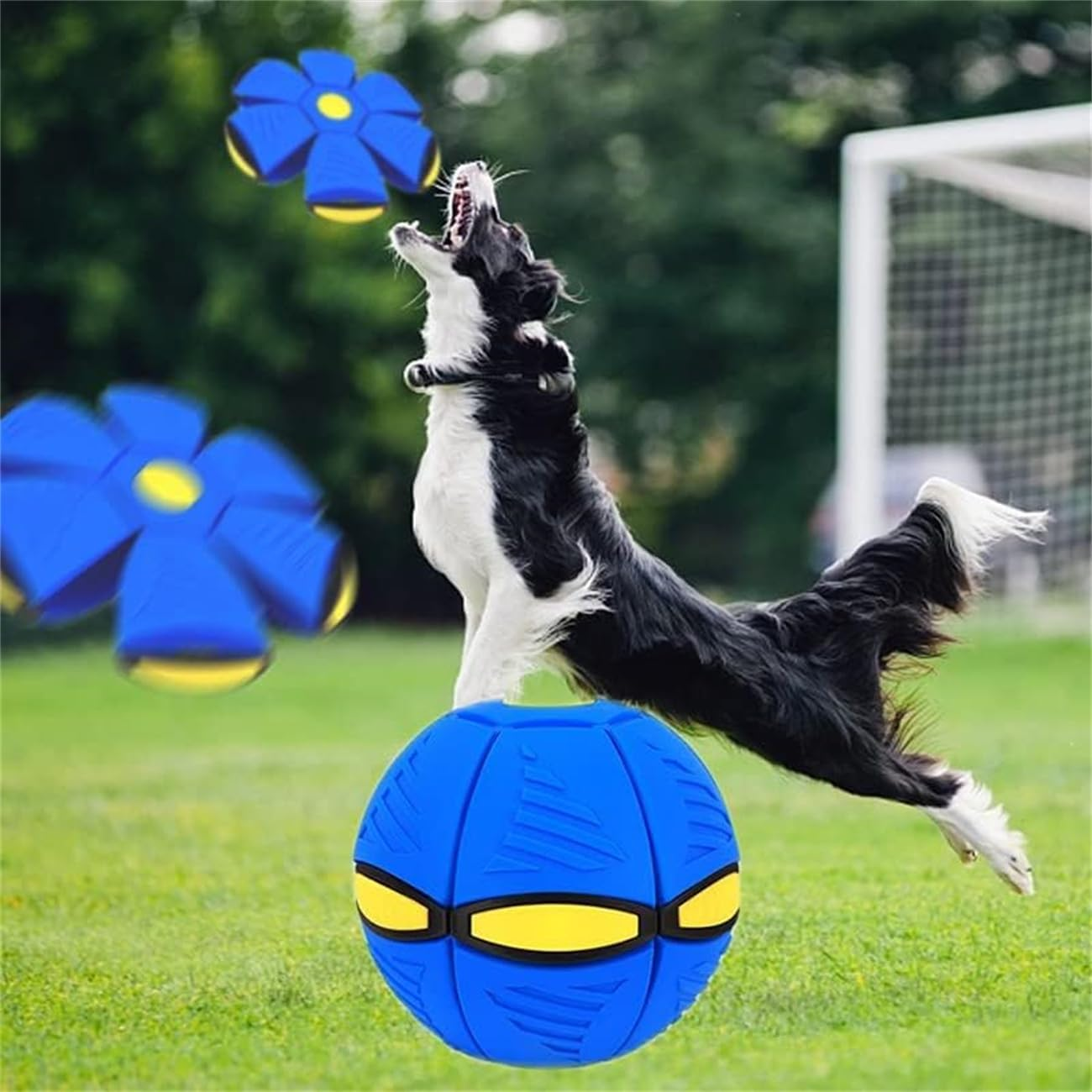 Pet Toy Flying Saucer Ball for Dogs, Portable Flying Saucer Toys, Stomp Magic Ball, Magic Creative Decompression Balls for Pet - Blue image number 2