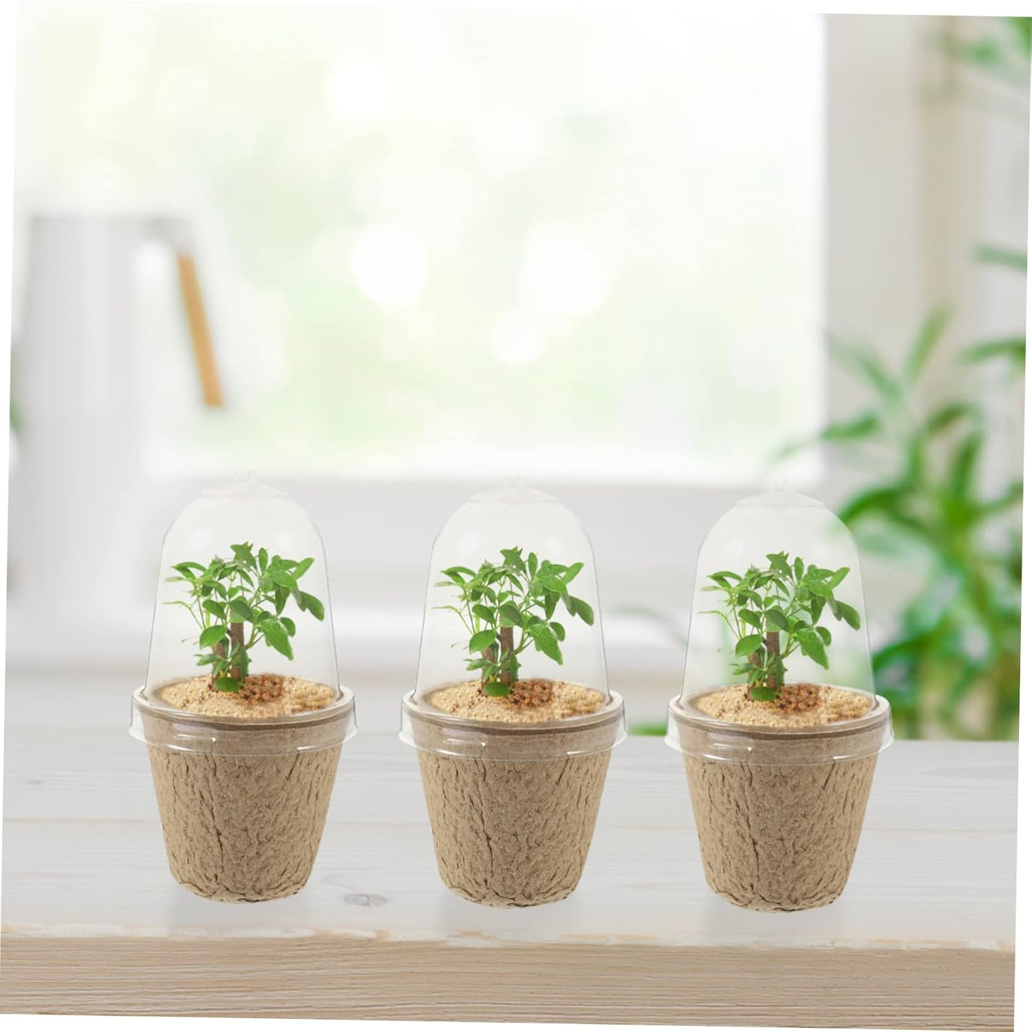 20Pcs Pulp Seedling Cups Plant Containers for Succulent Bonsai Garden Nursery Pots