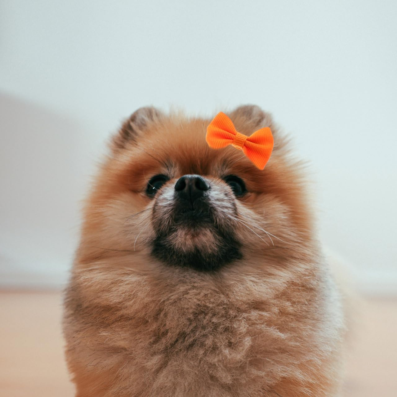 Ipetboom Dog Hair Accessories 30Pcs Small Bowknot Hair Clips with Alligator Clips for Puppy and Cat Grooming Cute Pet Bows for Daily Wear and Special Occasions image number 4
