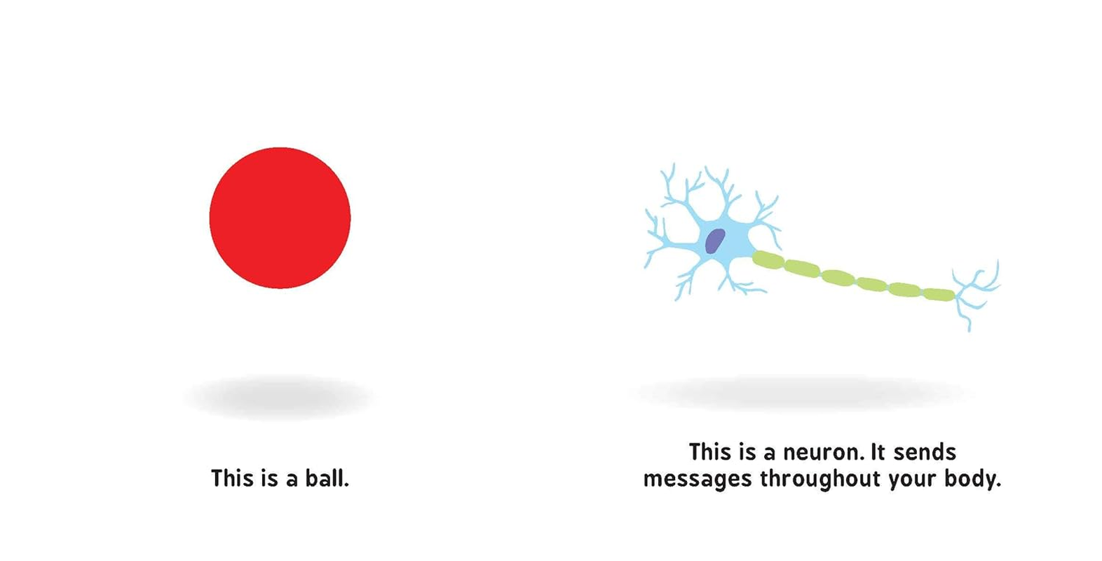 Neural Networks for Babies image number 5