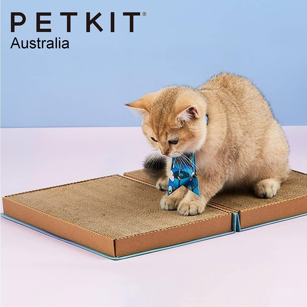 Petkit Catpedia Scratcher Book, Purple image number 4