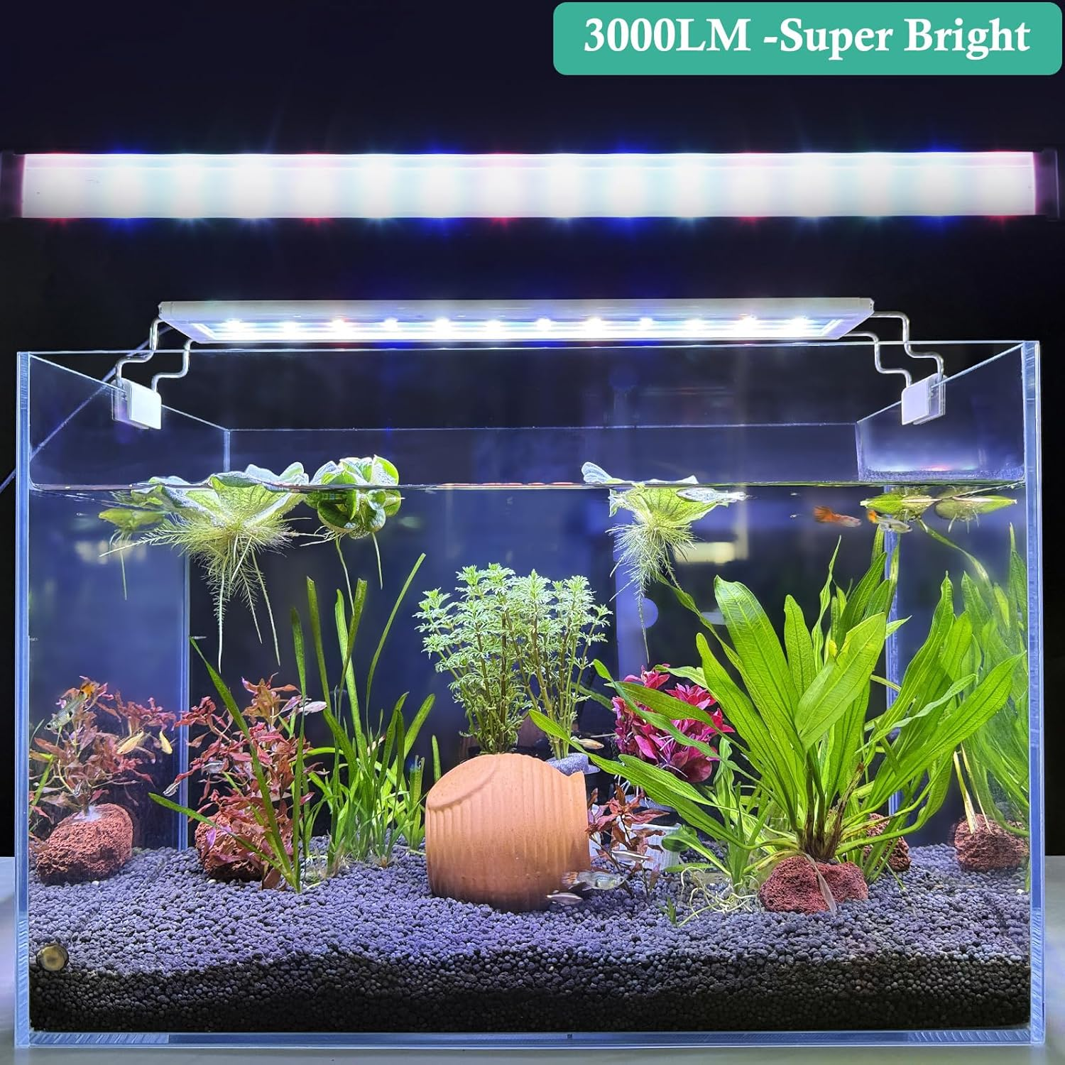 LED Aquarium Light with Timer, Full Spectrum LED Aquarium Plant Light, Classic LED Fish Tank Light with RGB Leds, with Stable Extendable Brackets (60-80Cm)