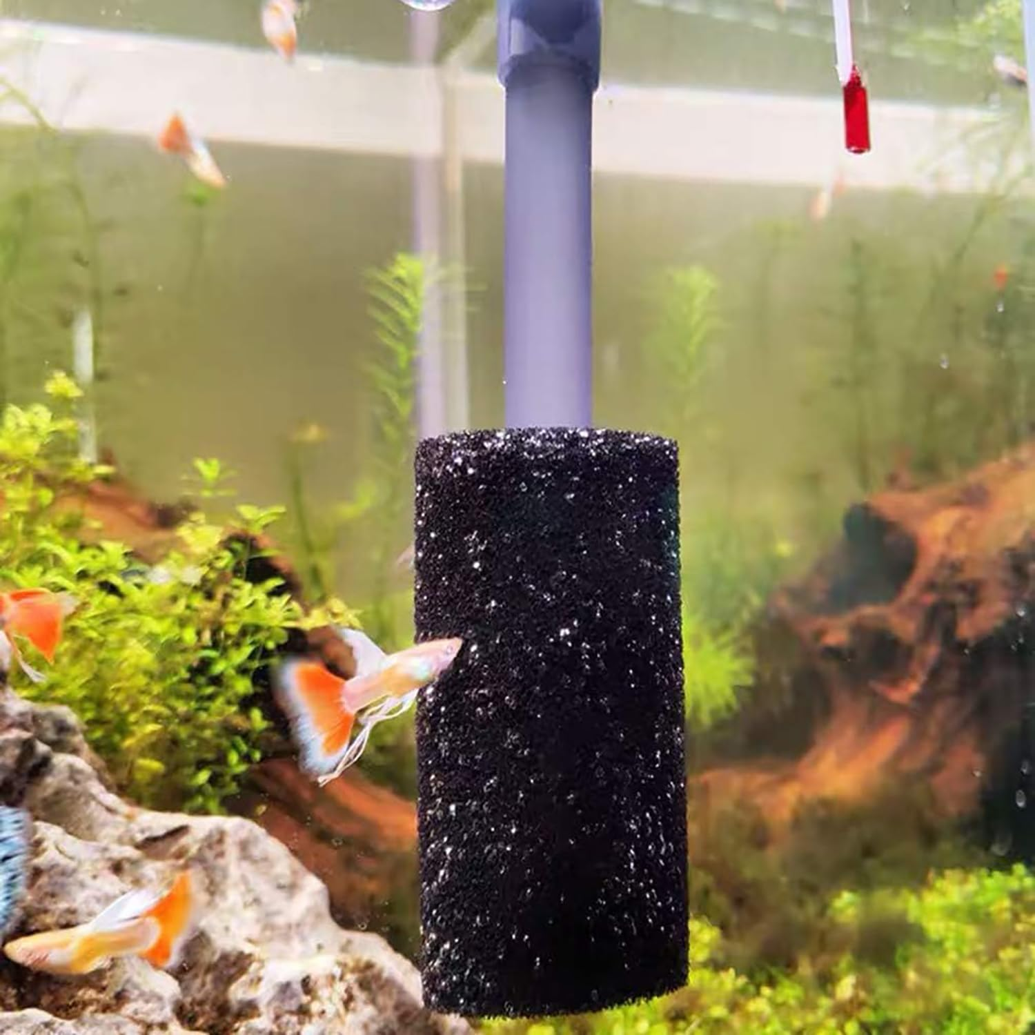 Pre-Filter Sponge 4 Pack Aquarium Pre Filter Foam Rolls Compatible Filter Roll Aquarium Intake Filter Media Sponge Compatible Filter Accessories for Fish Tank Aquarium Shrimp 10Mm 22Mm image number 2