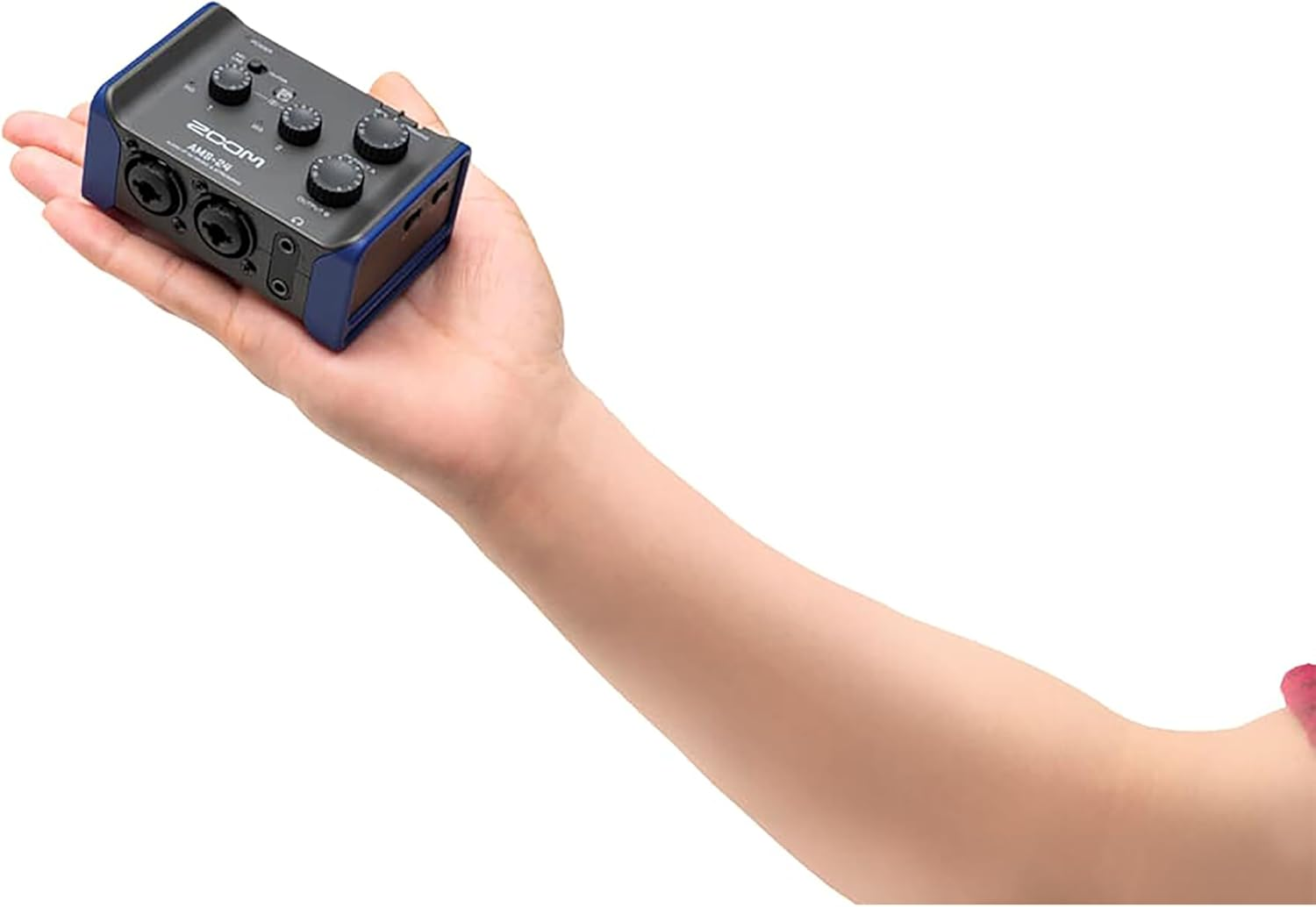 Zoom AMS-24 Streaming Interface image number 5