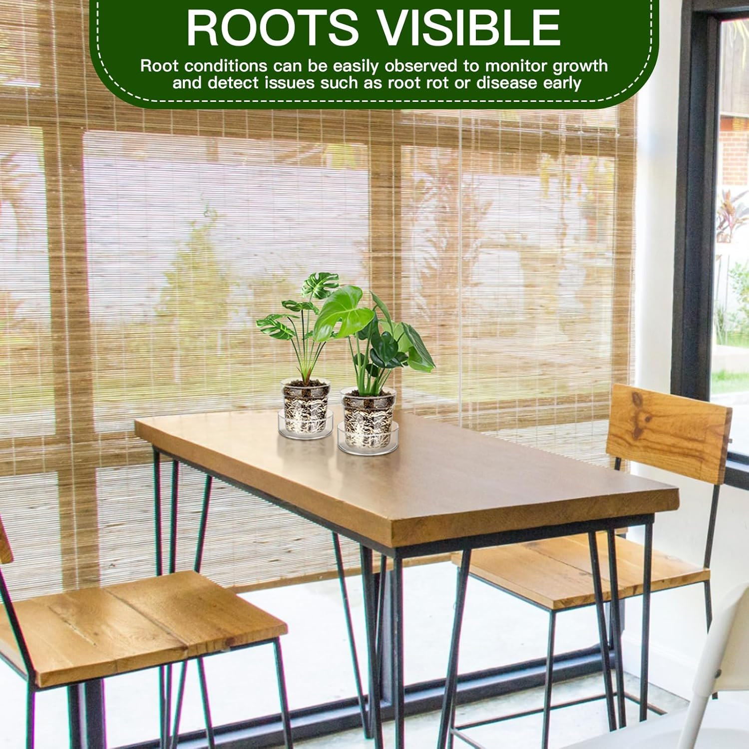 Baderke 4 Inch Glass Plant Pots with Saucer, Flower Nursery Plant Pots with Drainage for Flower Seed Starter Transparent Seedling (1 Set) image number 6