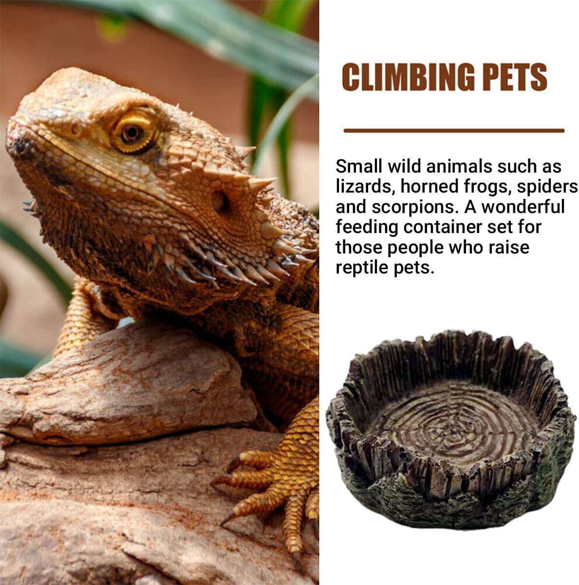 AIMALL Drinking Basin for Reptiles - Resin Turtle Dish for Turtles, Lizards, Snakes, and Other Pets, Functional Feeder and Decoration image number 1