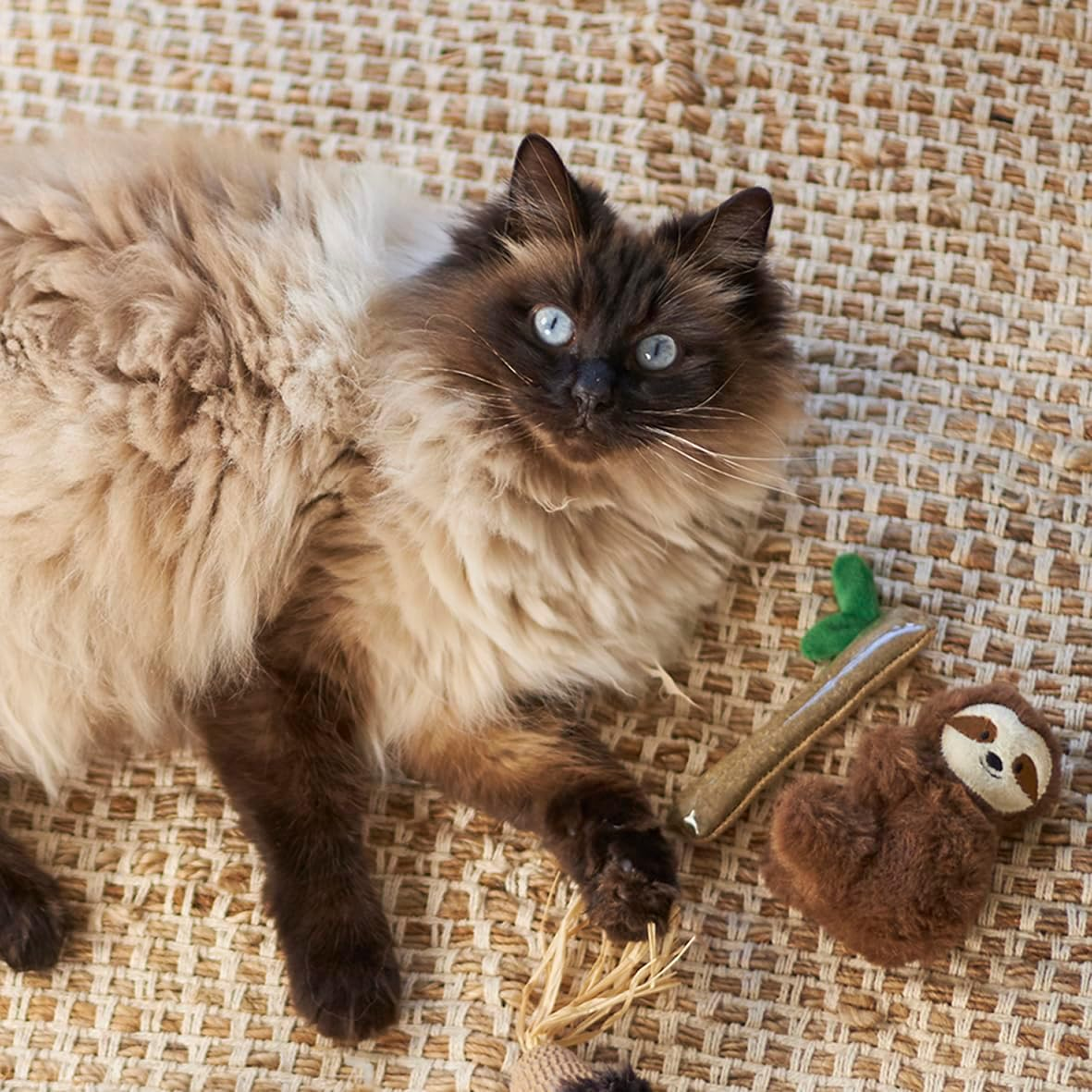 Kazoo Jungle Sloth Cat Toy image number 4